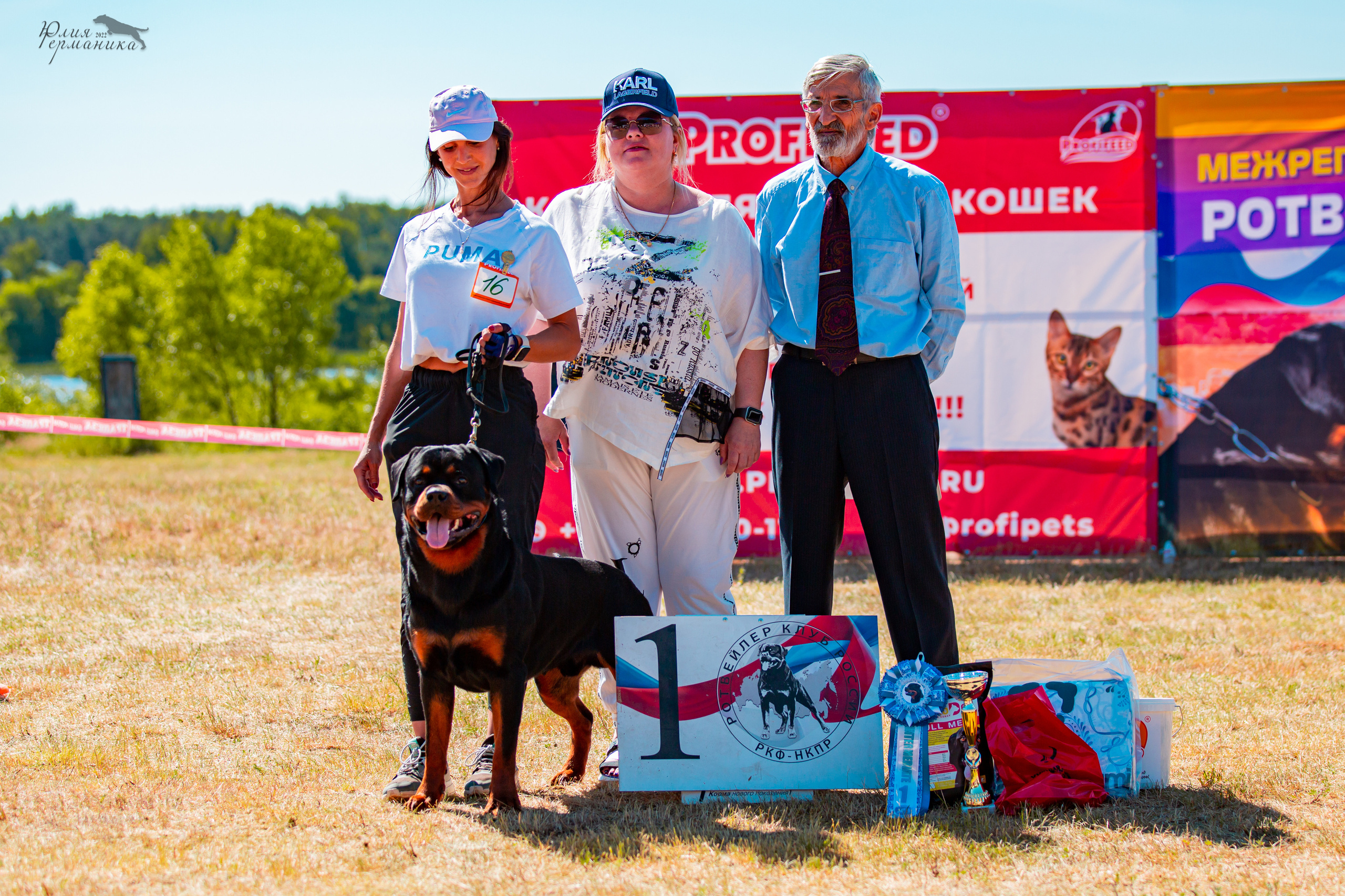 Тверь моно ротвейлеров 2-3.07.2022. Фотограф-анималист Юлия Германика