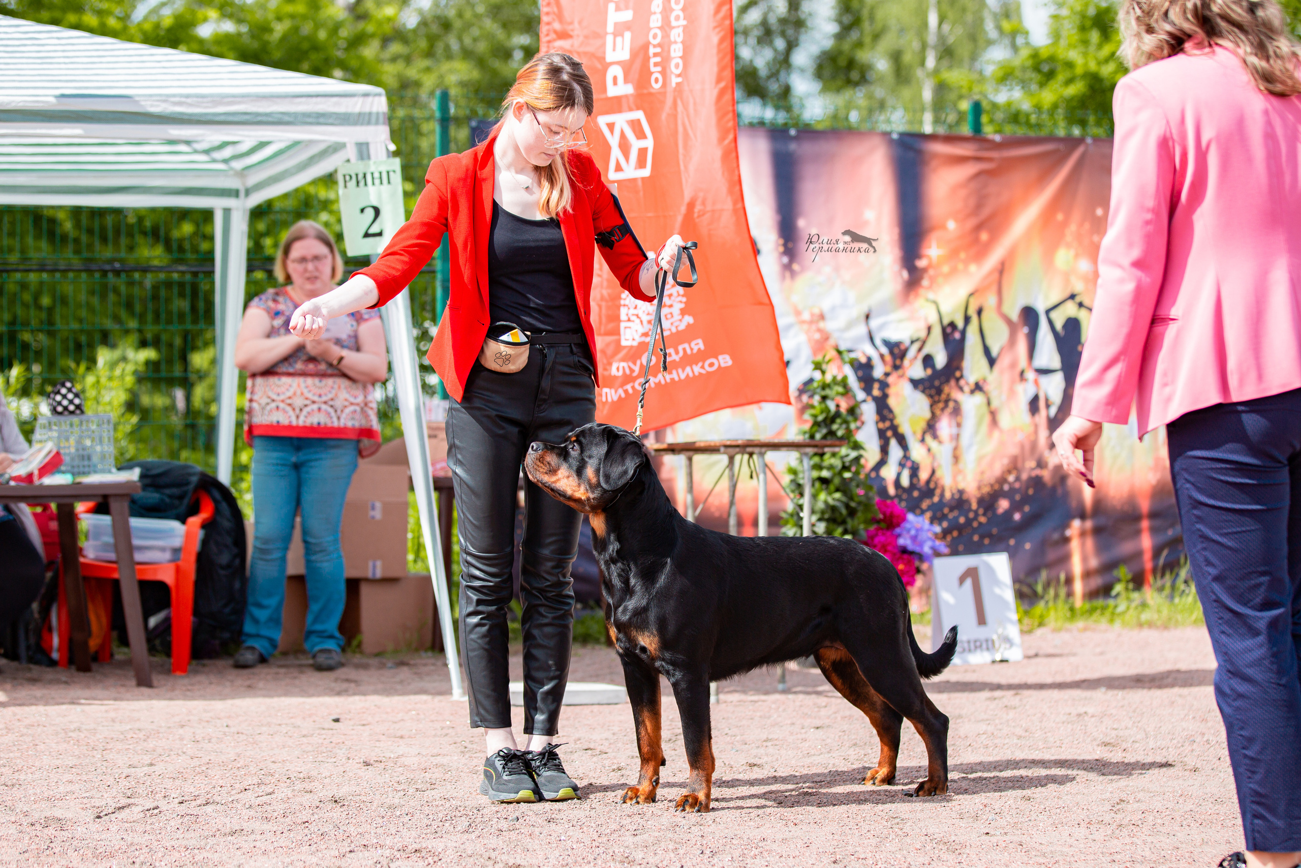 Смоленск 12.06,   Ховрино 13.06,    Питер 18.06 2022. Фотограф-анималист Юлия Германика