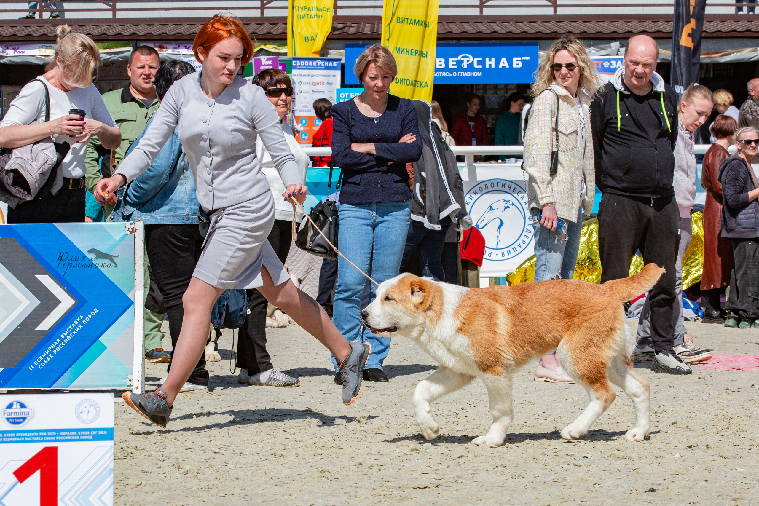 Евразия 21-22 мая 2022. Фотограф-анималист Юлия Германика