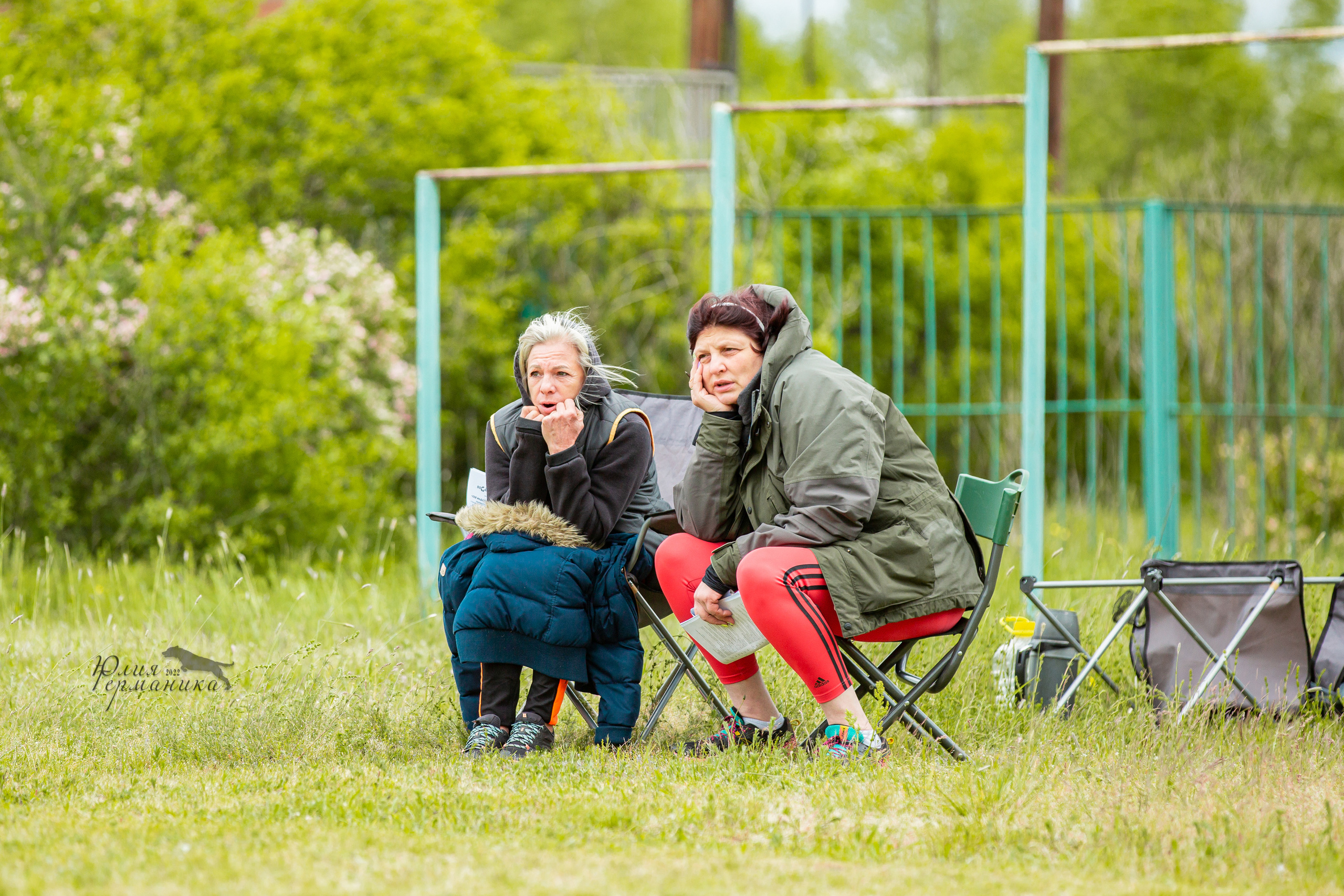 Воронеж моно ротвейлеров 28-29 мая 2022. Фотограф-анималист Юлия Германика