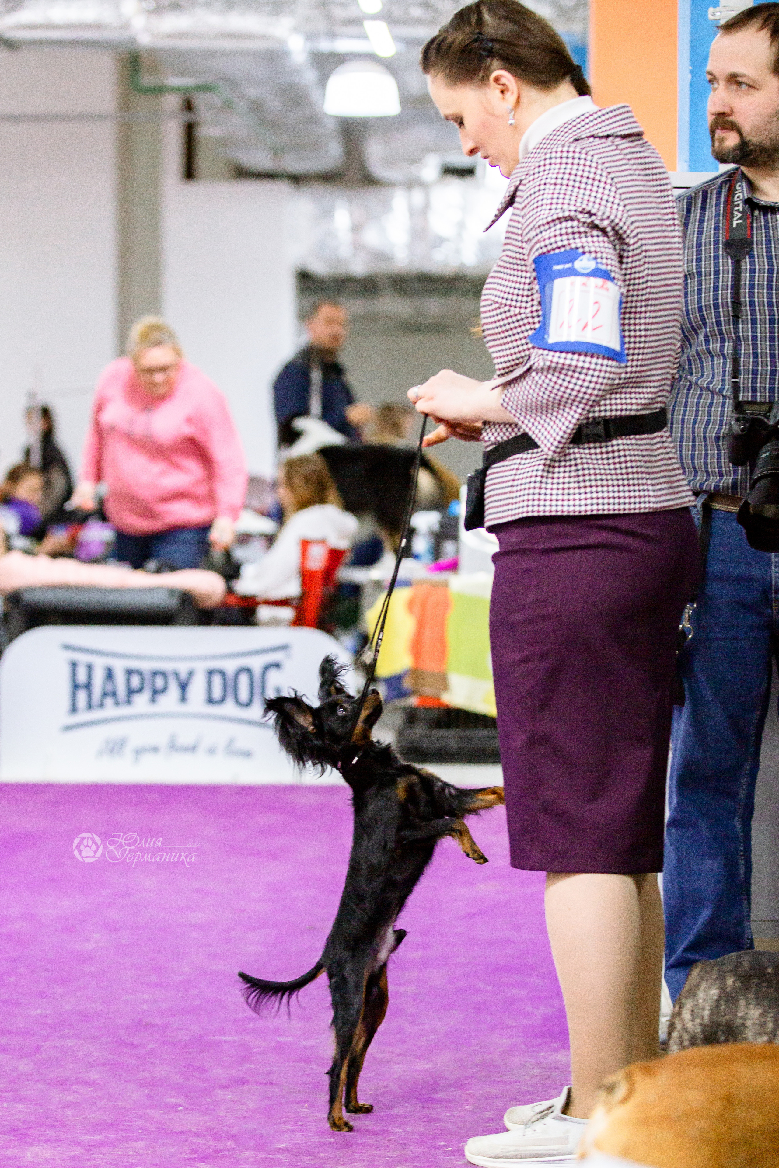 Чайна-Таун 16-17 апреля 2022. Фотограф-анималист Юлия Германика