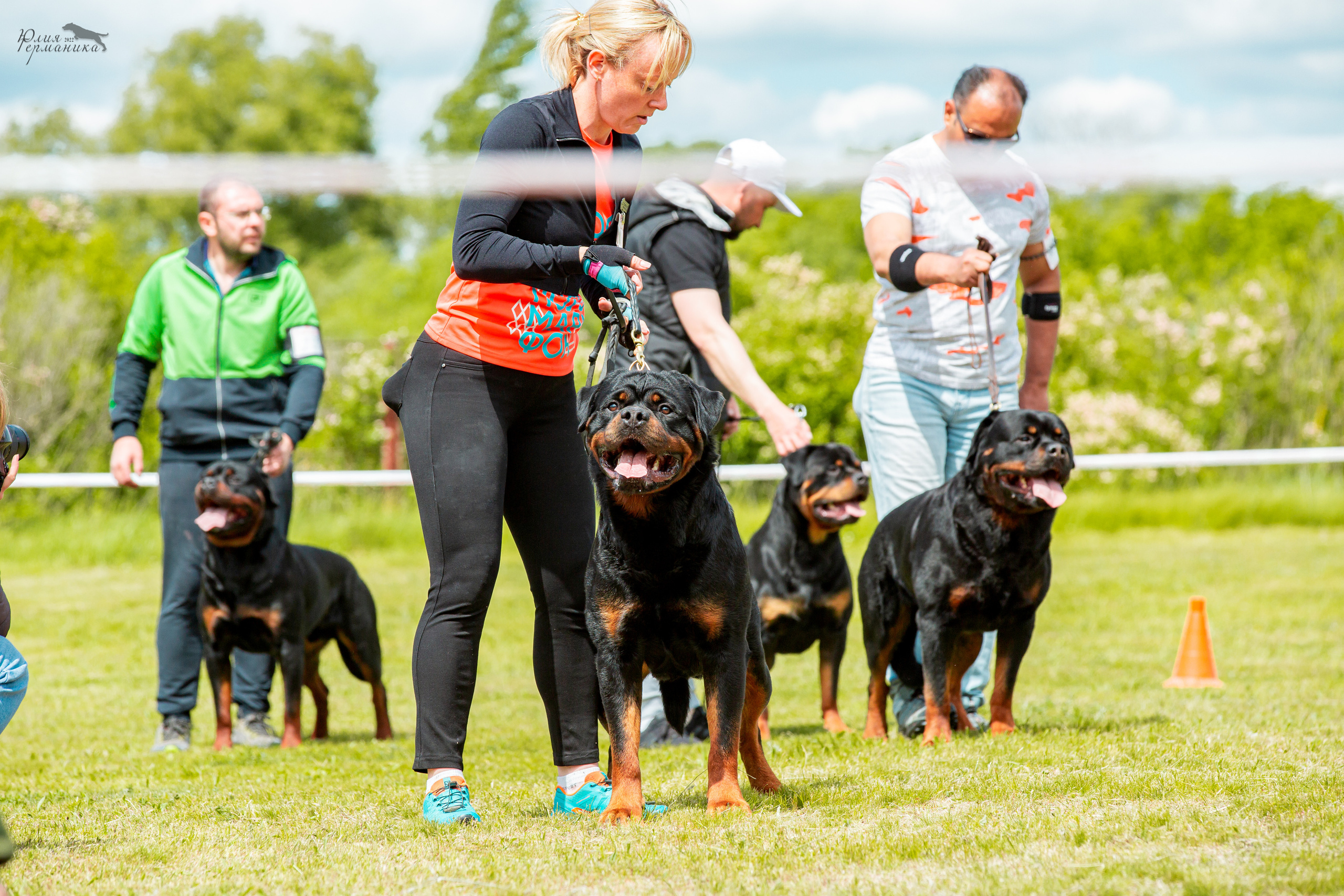 Воронеж моно ротвейлеров 28-29 мая 2022. Фотограф-анималист Юлия Германика