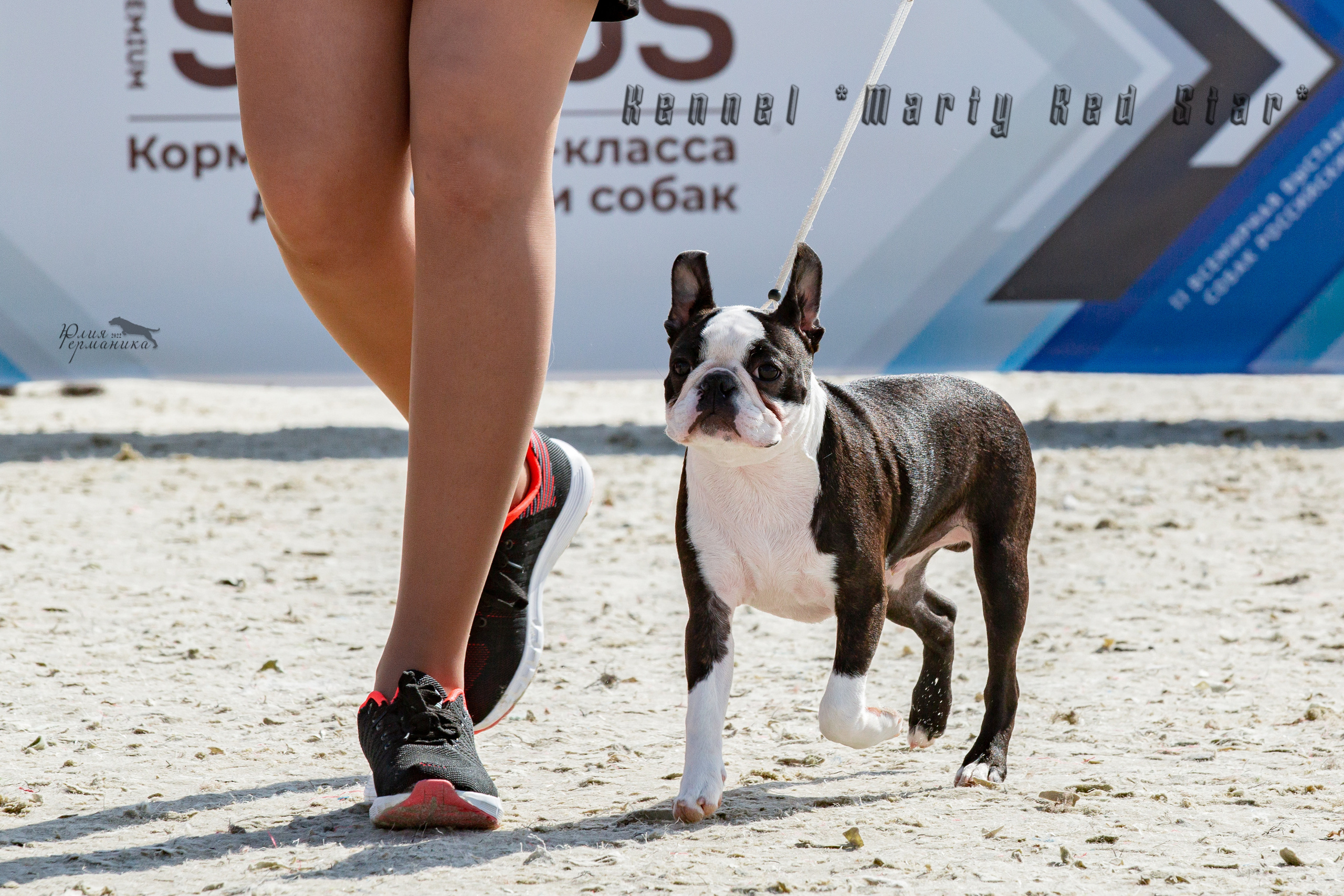 Евразия 21-22 мая 2022. Фотограф-анималист Юлия Германика