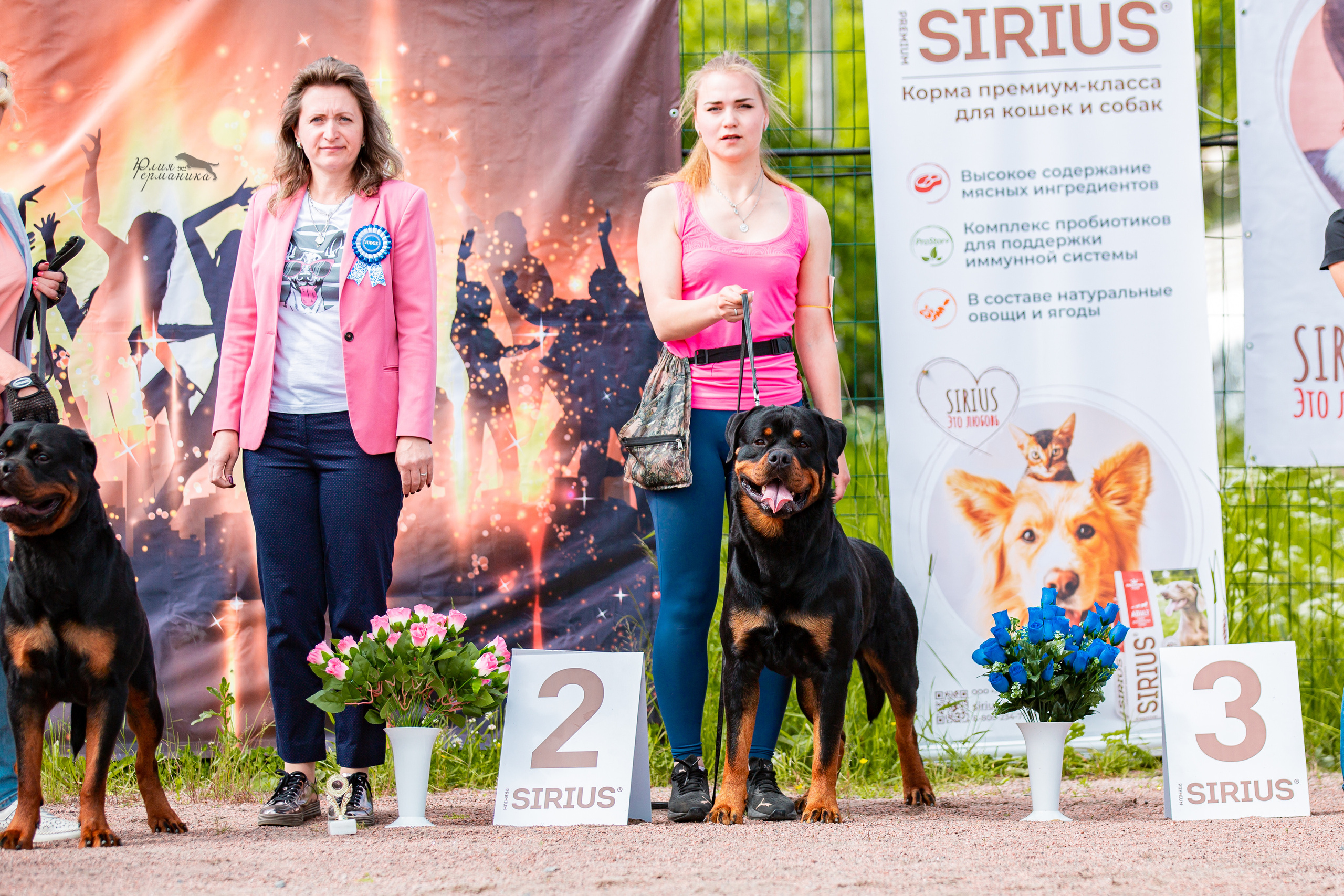 Смоленск 12.06,   Ховрино 13.06,    Питер 18.06 2022. Фотограф-анималист Юлия Германика