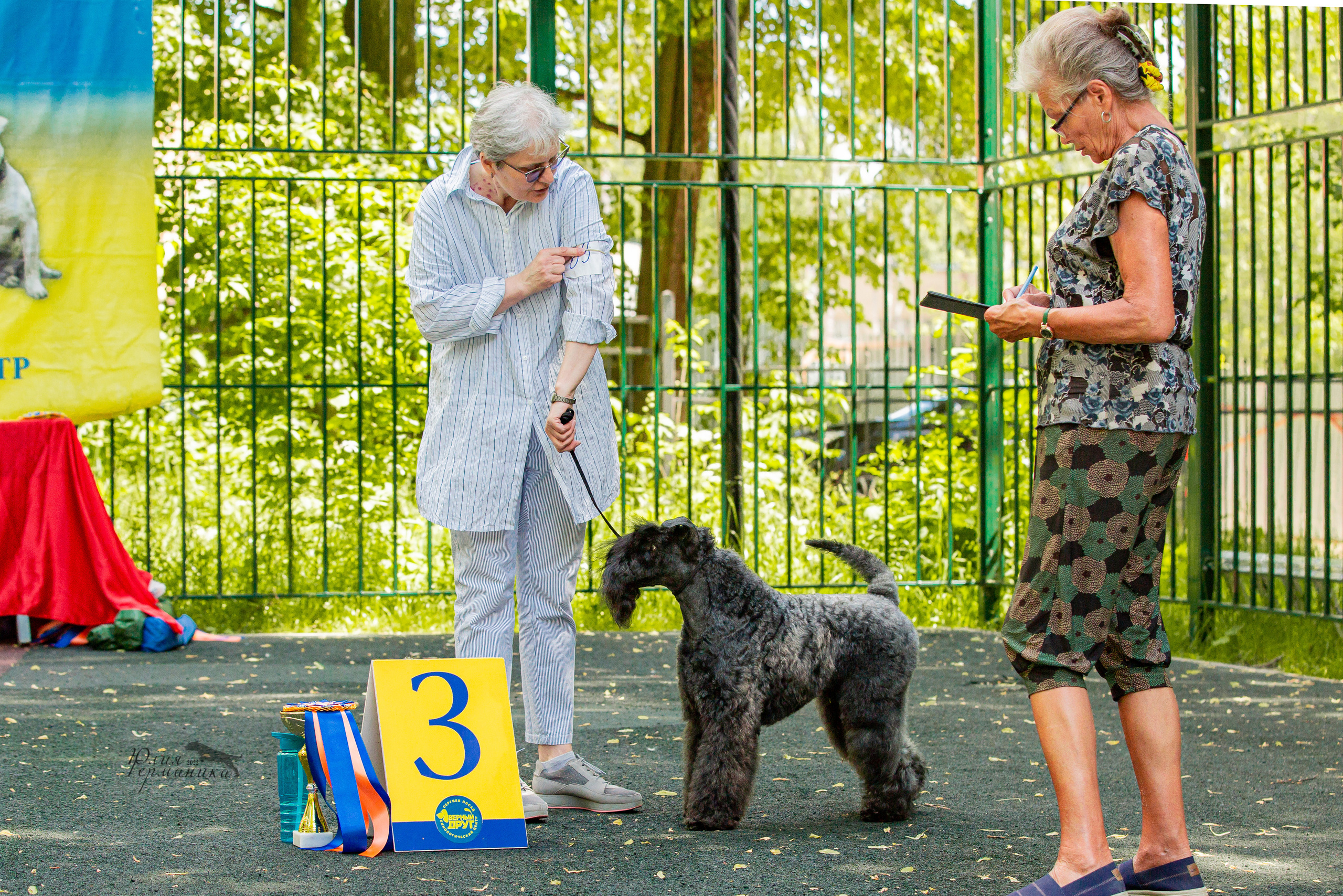 Сергиев Посад 2хСАС 25.06.2022. Фотограф-анималист Юлия Германика