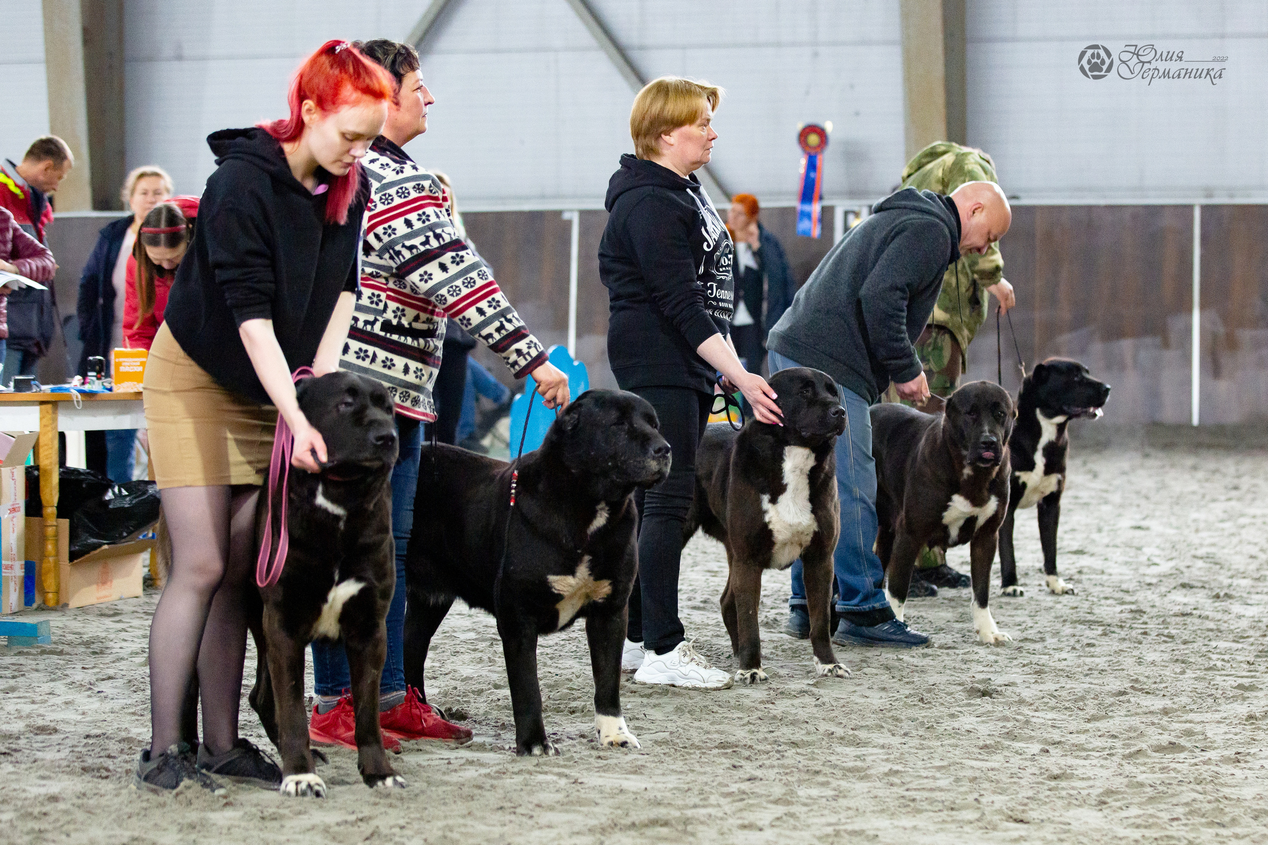 Националка САО+КЧК 24 апреля 2022. Фотограф-анималист Юлия Германика
