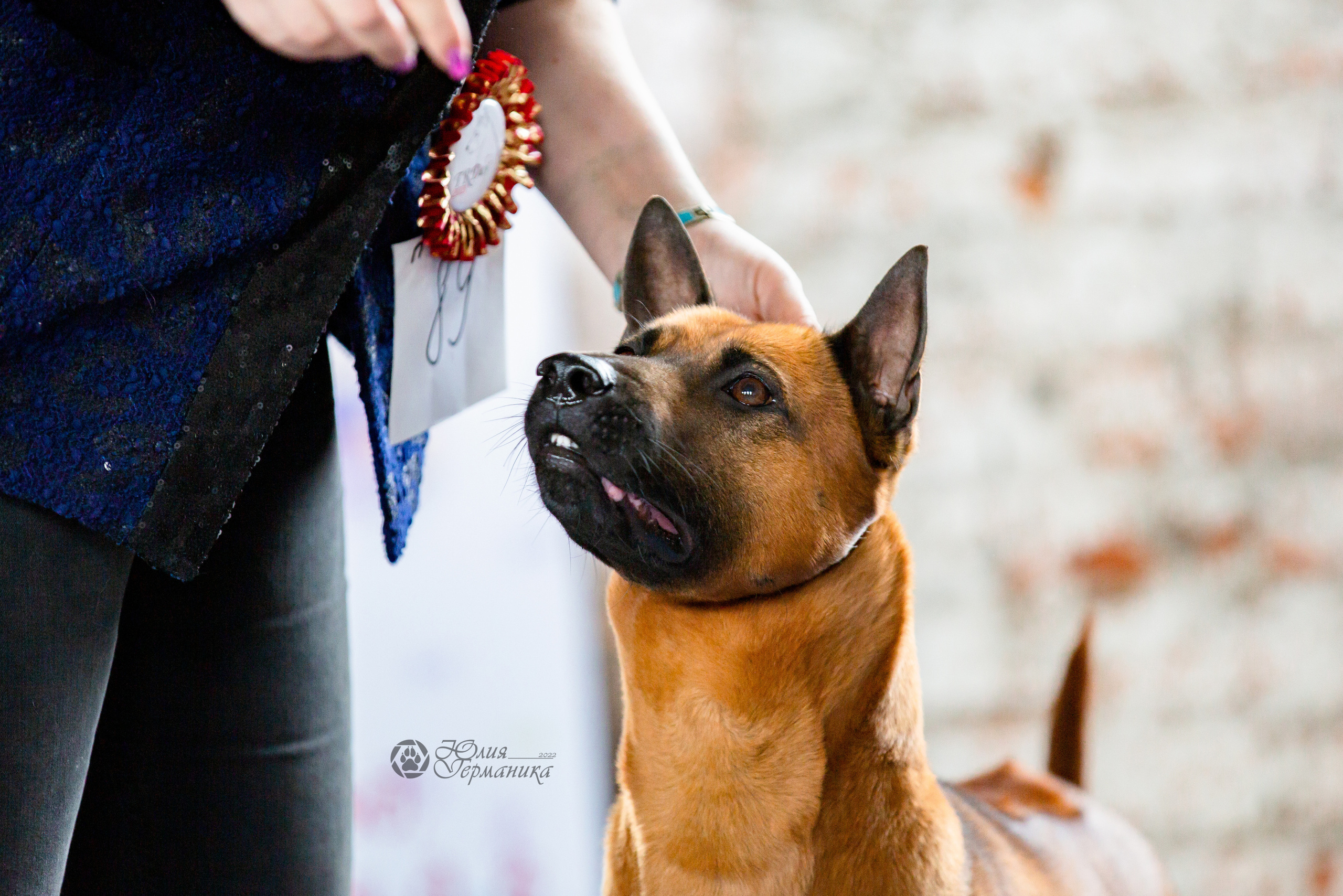 Сергиев Посад 23.04.2022. Фотограф-анималист Юлия Германика