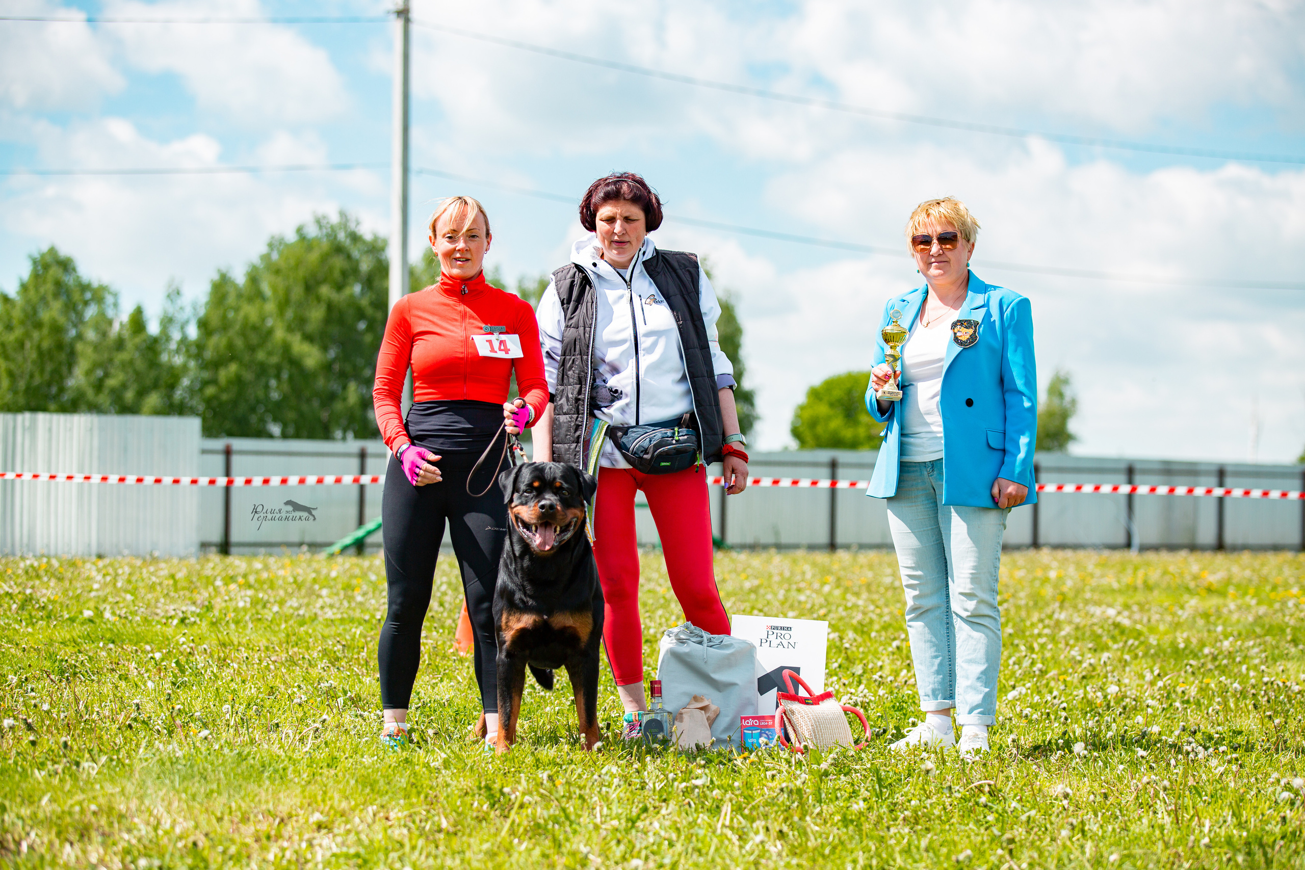 Нижний Новгород моно ротвейлеров 4 июня 2022. Фотограф-анималист Юлия Германика