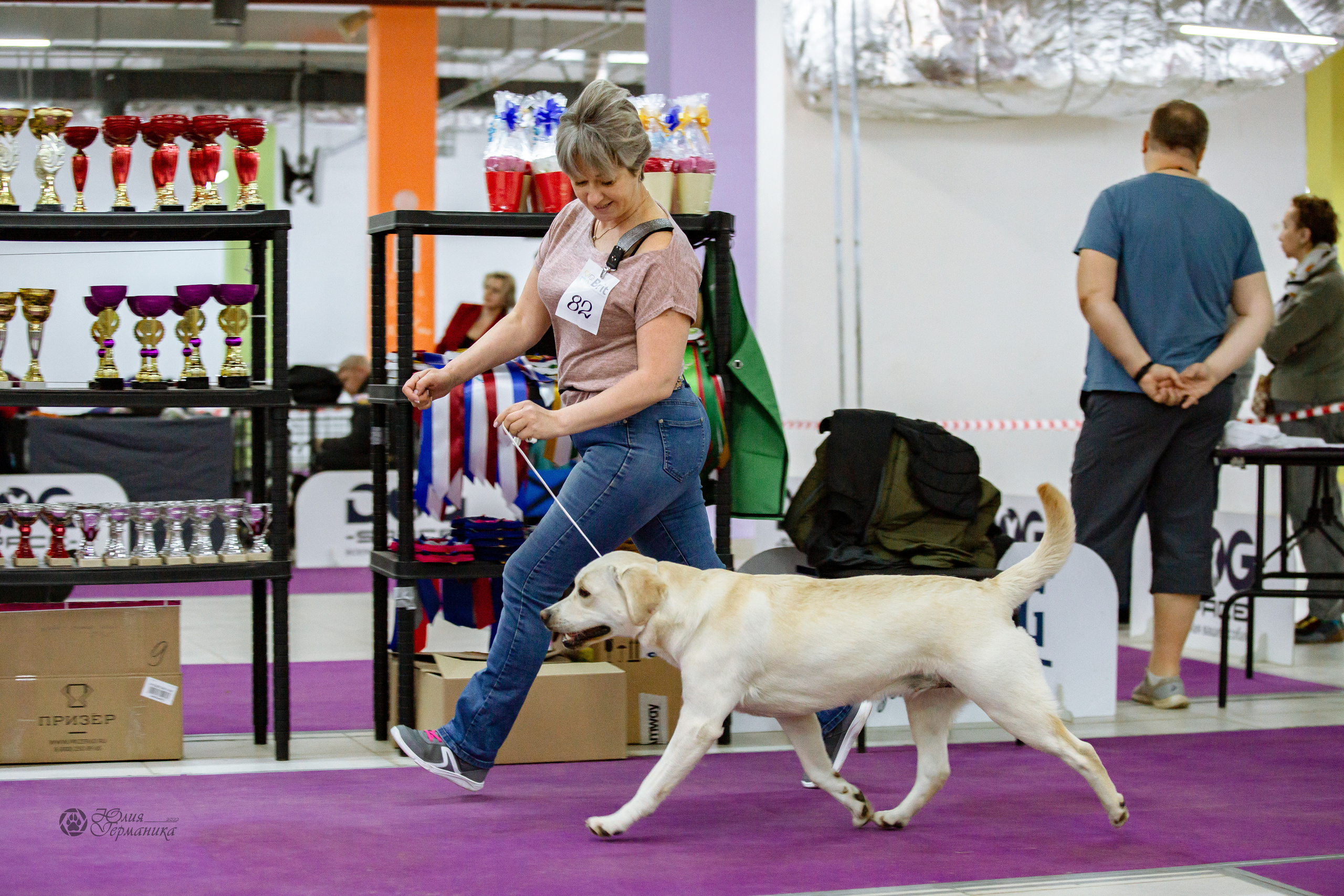 Чайна-Таун 16-17 апреля 2022. Фотограф-анималист Юлия Германика