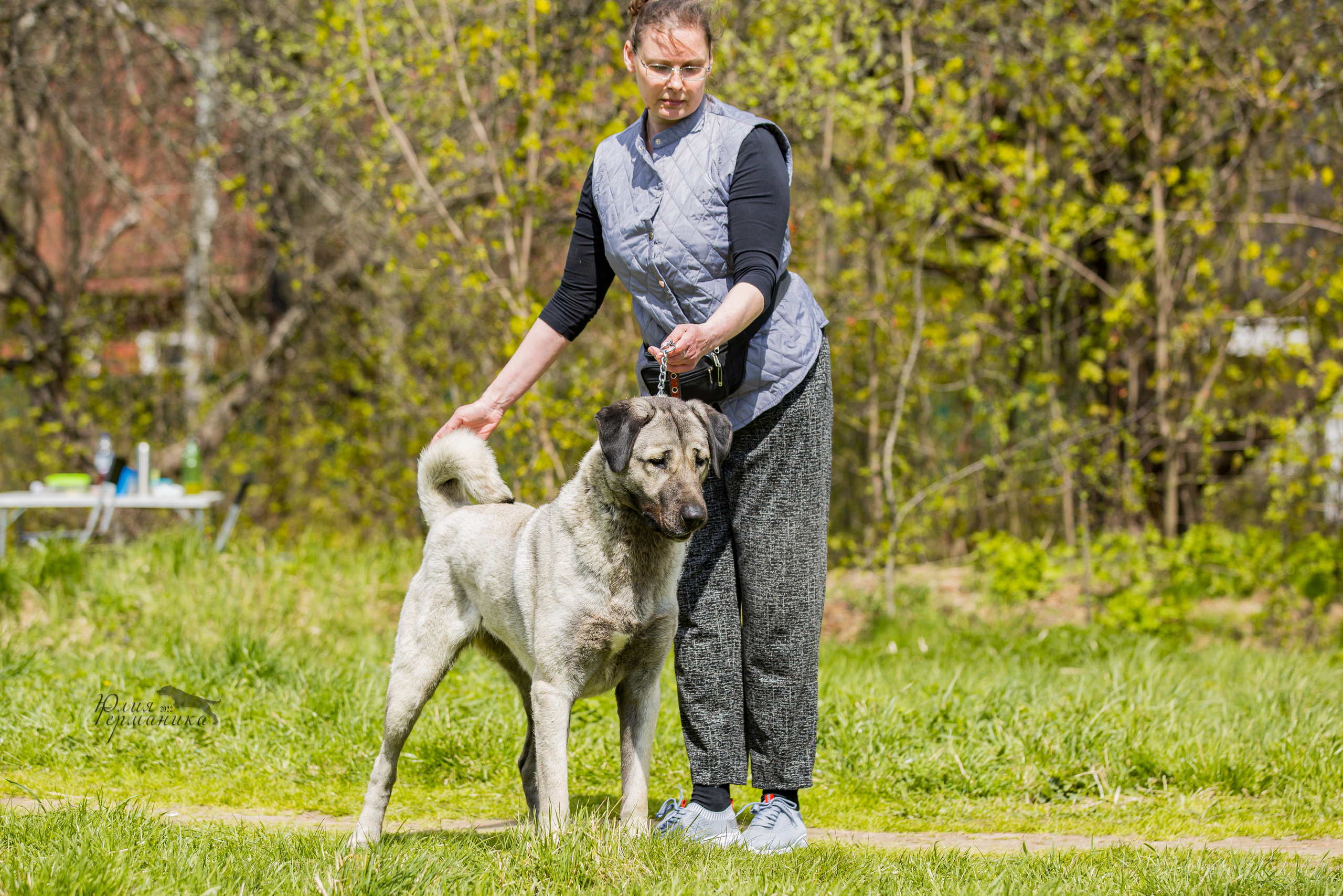 Пушкино 2хЧРКФ 14 мая 2022. Фотограф-анималист Юлия Германика