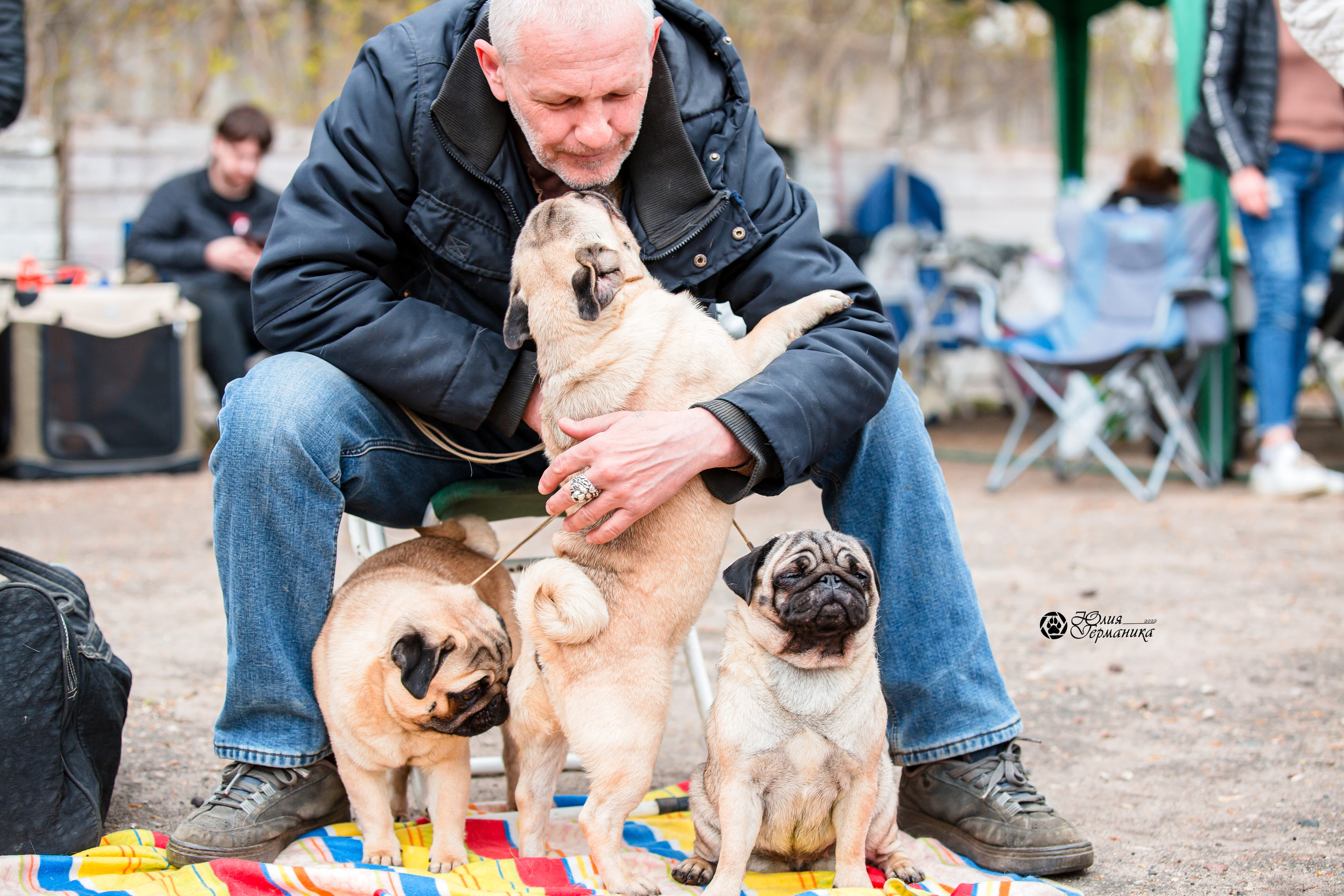 Александров 2хСАС 8 мая 2022. Фотограф-анималист Юлия Германика