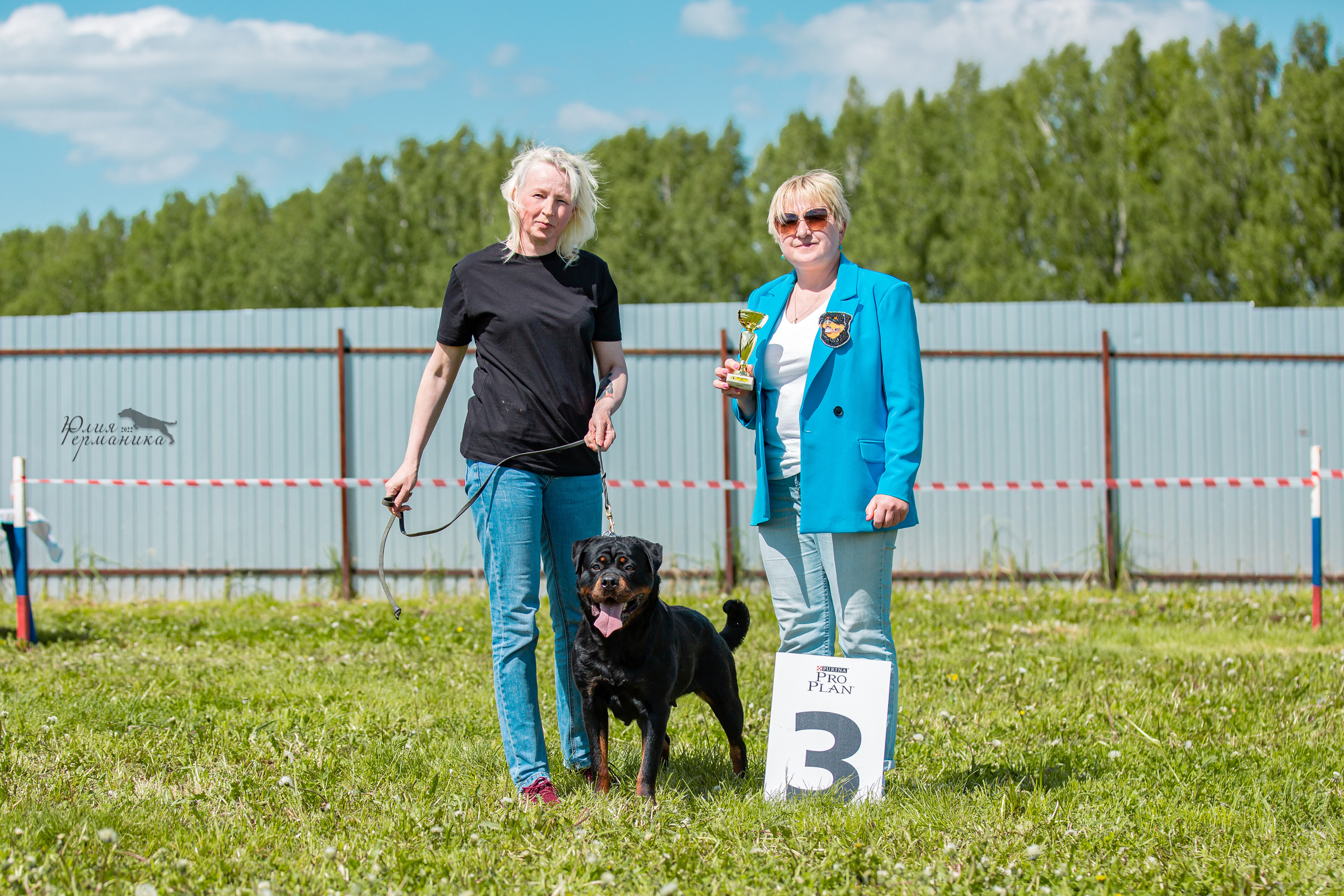 Нижний Новгород моно ротвейлеров 4 июня 2022. Фотограф-анималист Юлия Германика