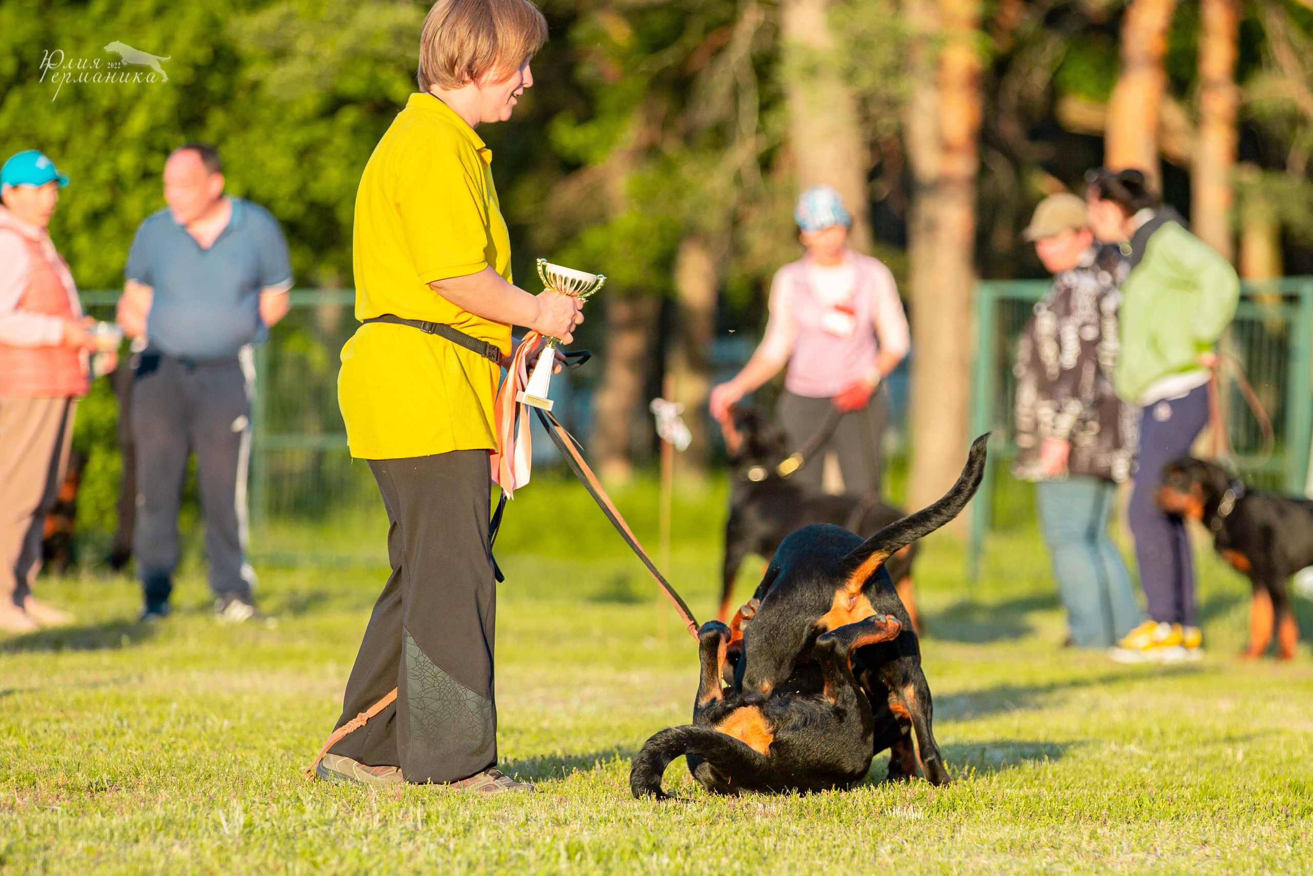 Воронеж моно ротвейлеров 28-29 мая 2022. Фотограф-анималист Юлия Германика