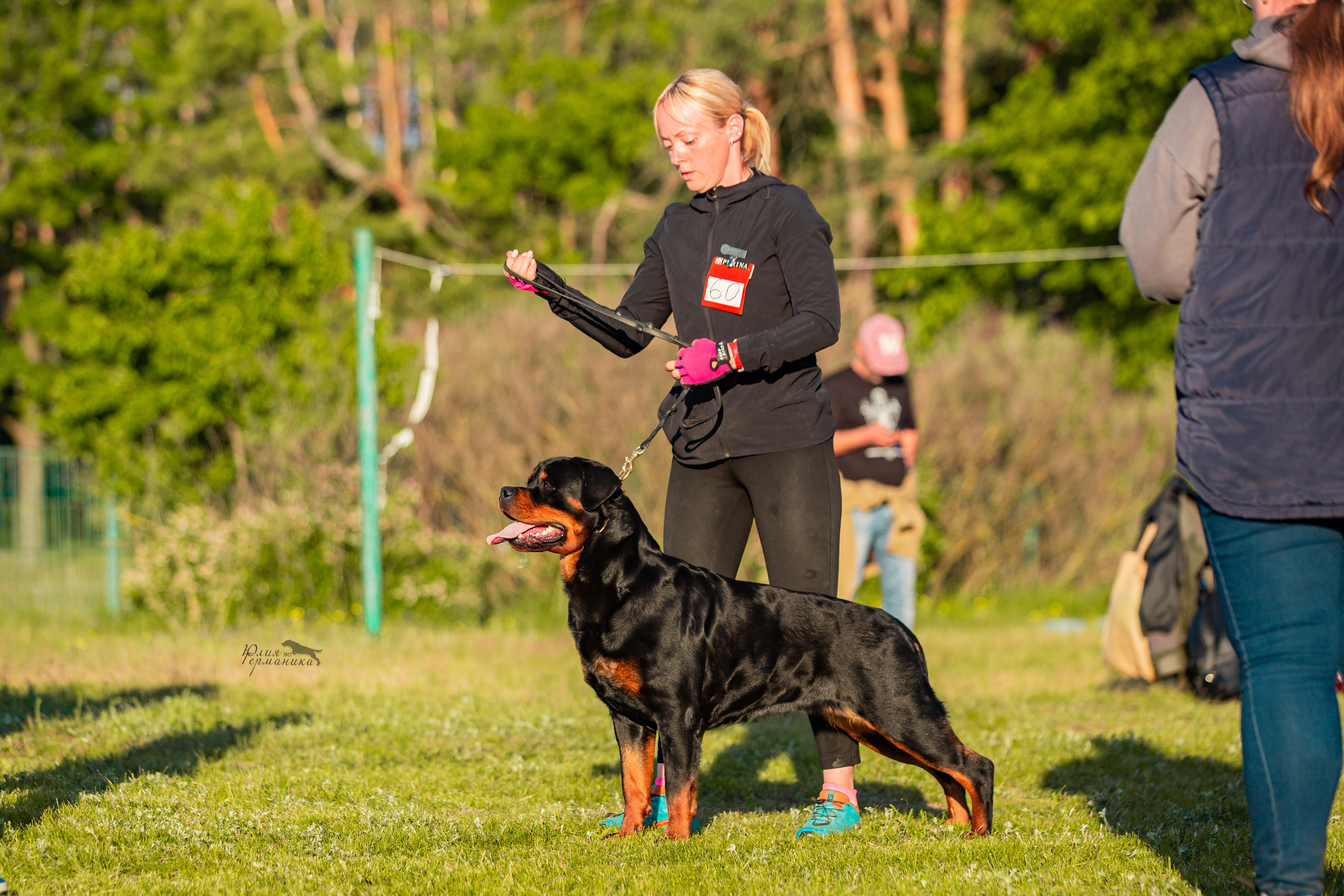 Воронеж моно ротвейлеров 28-29 мая 2022. Фотограф-анималист Юлия Германика