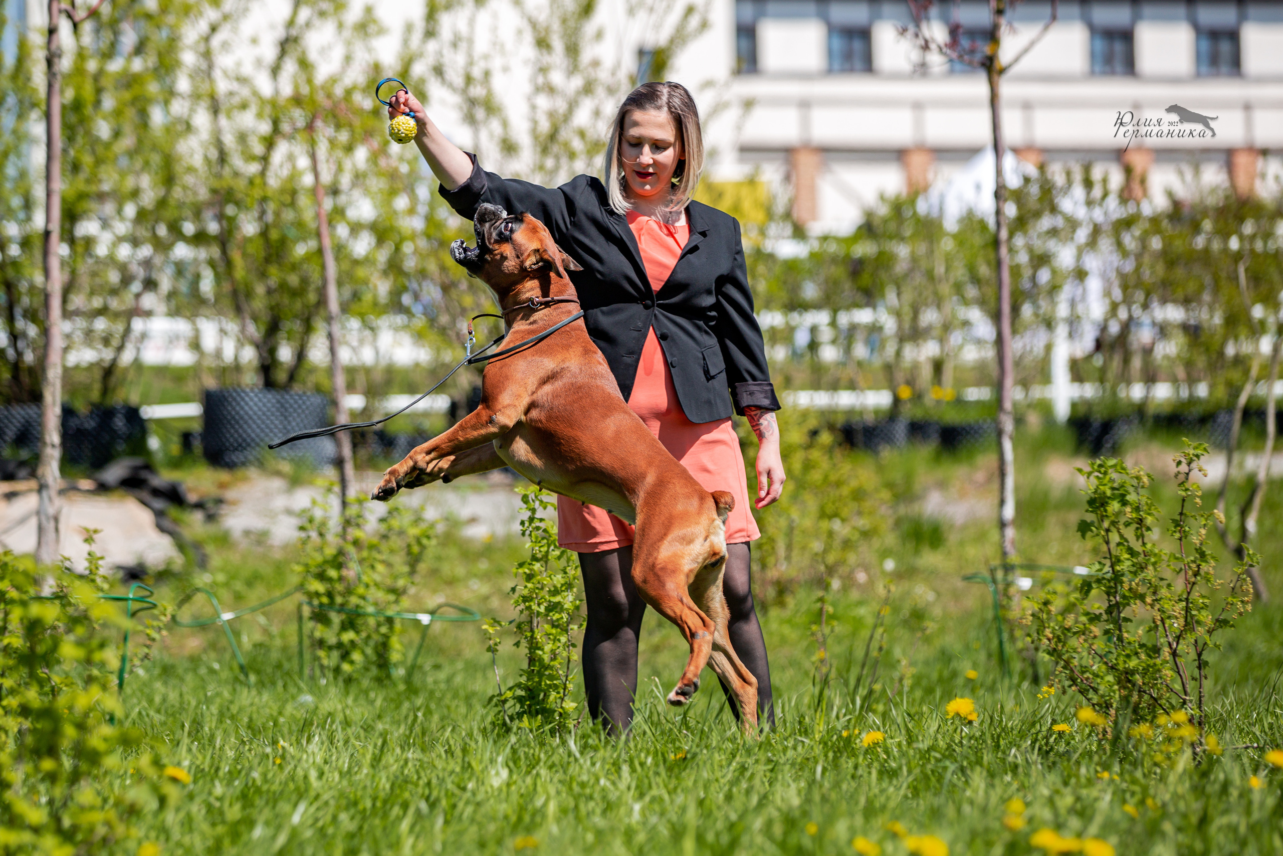 Евразия 21-22 мая 2022. Фотограф-анималист Юлия Германика
