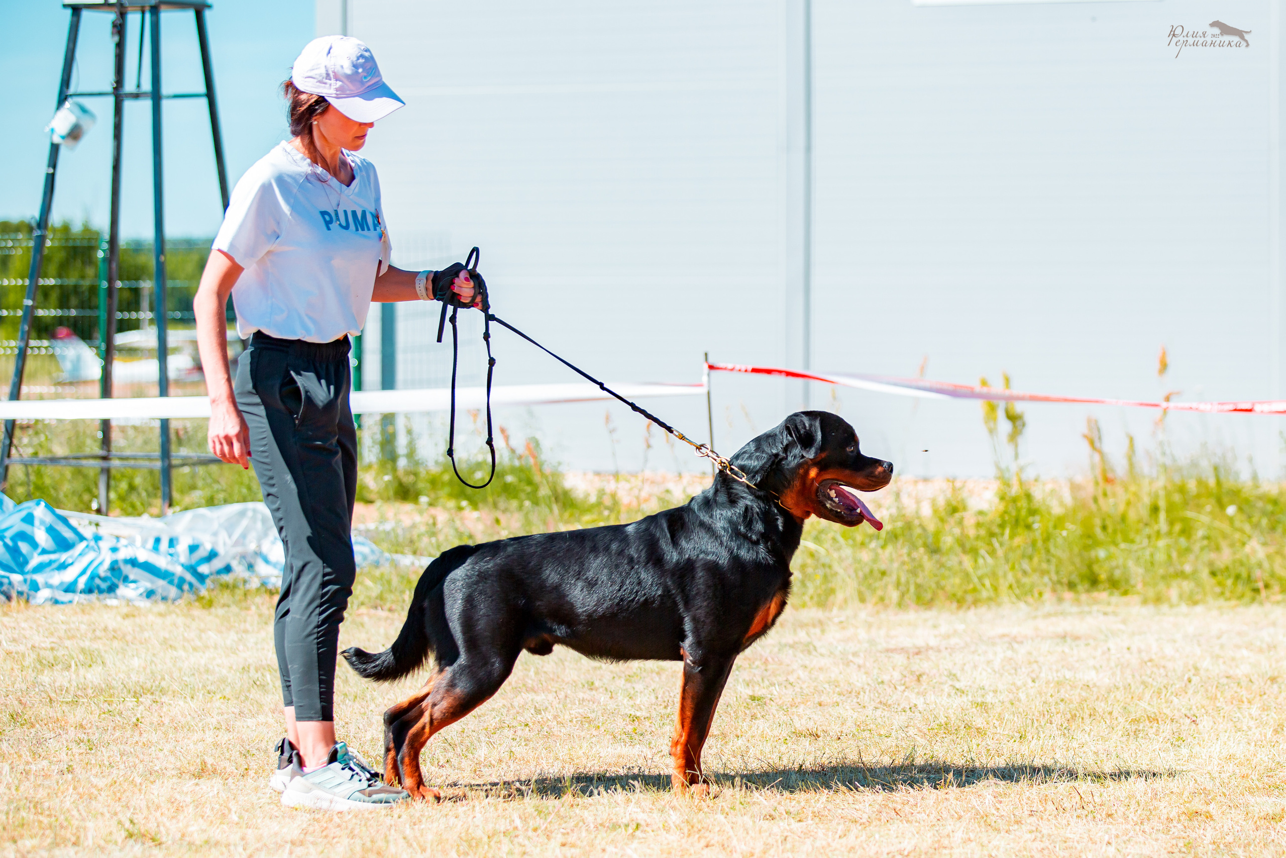 Тверь моно ротвейлеров 2-3.07.2022. Фотограф-анималист Юлия Германика