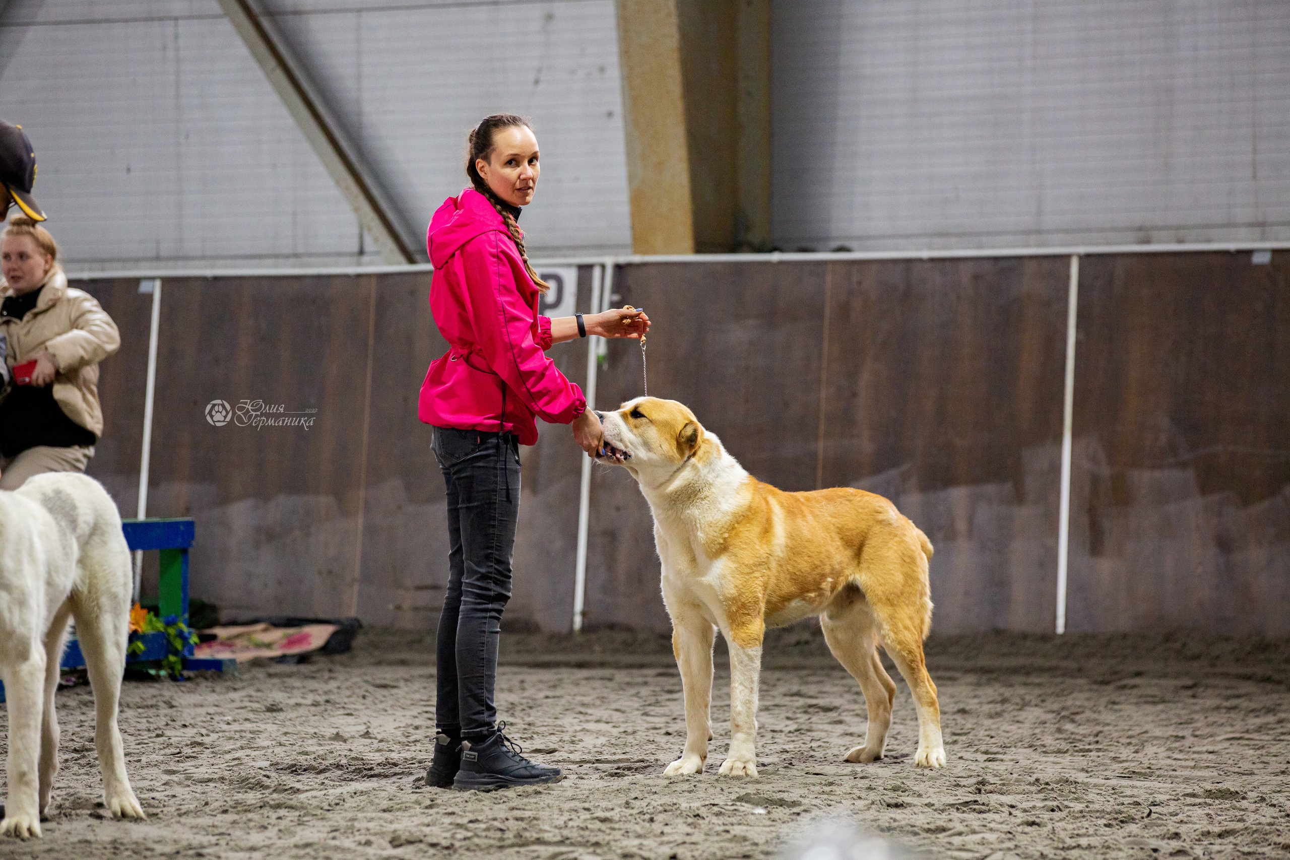 Националка САО+КЧК 24 апреля 2022. Фотограф-анималист Юлия Германика