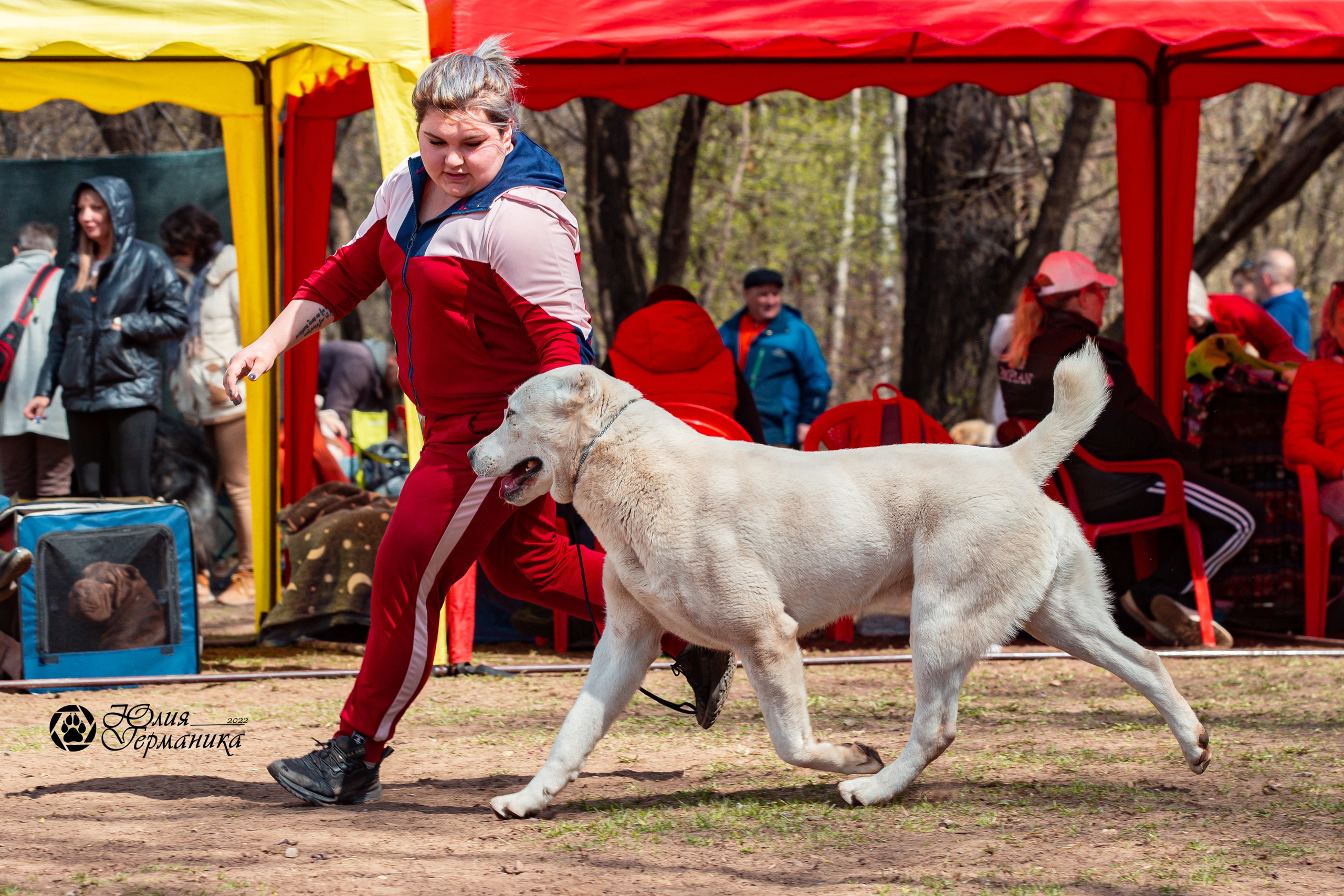 Сокольники 1 мая 2022. Фотограф-анималист Юлия Германика