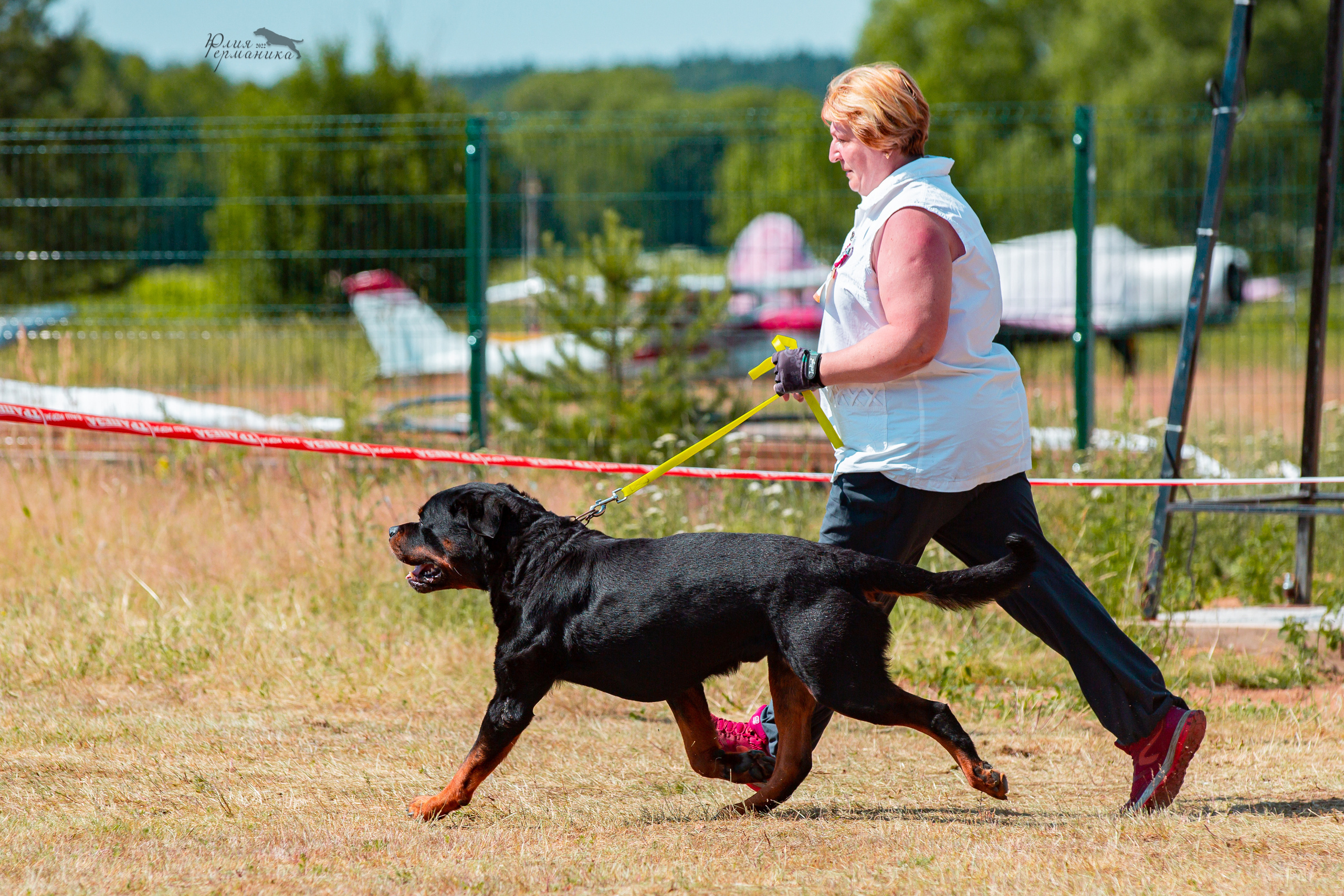 Тверь моно ротвейлеров 2-3.07.2022. Фотограф-анималист Юлия Германика