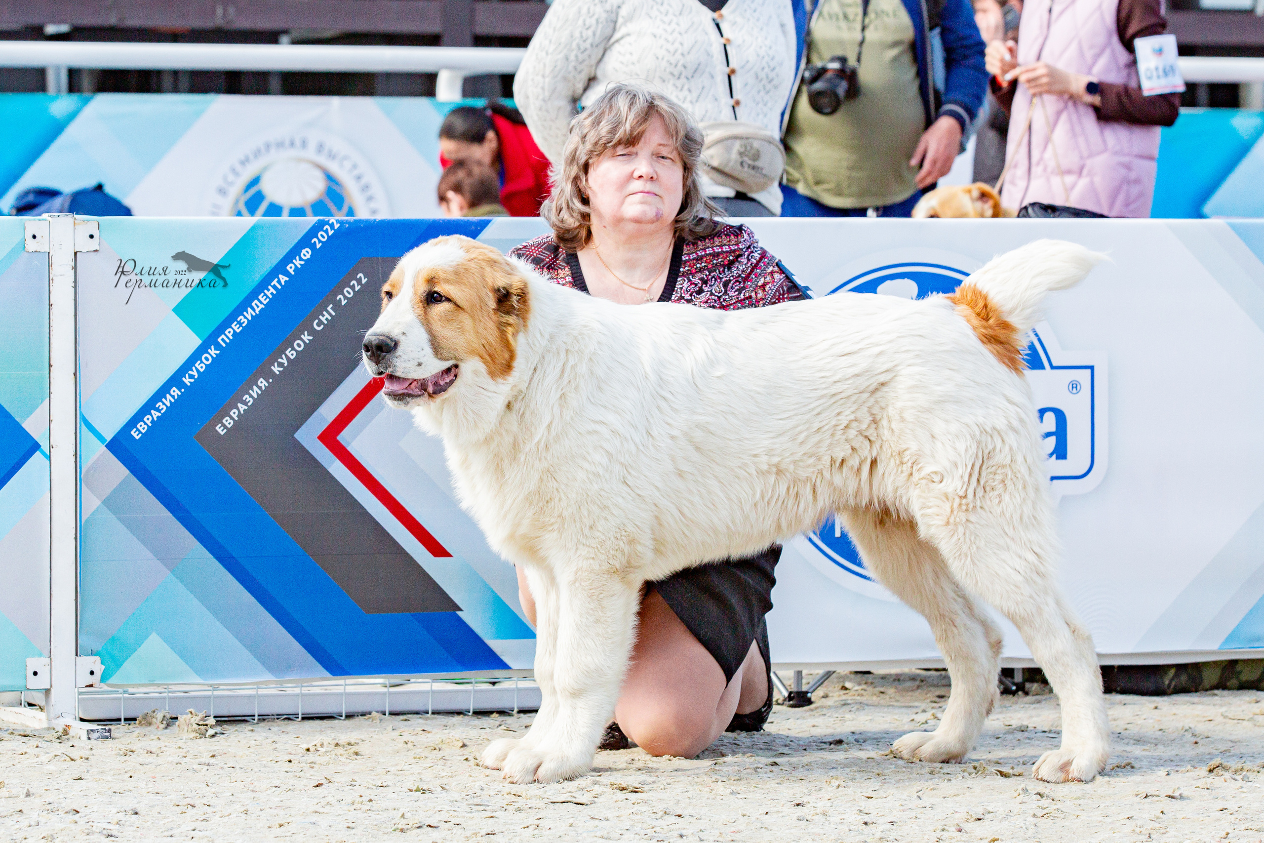 Евразия 21-22 мая 2022. Фотограф-анималист Юлия Германика