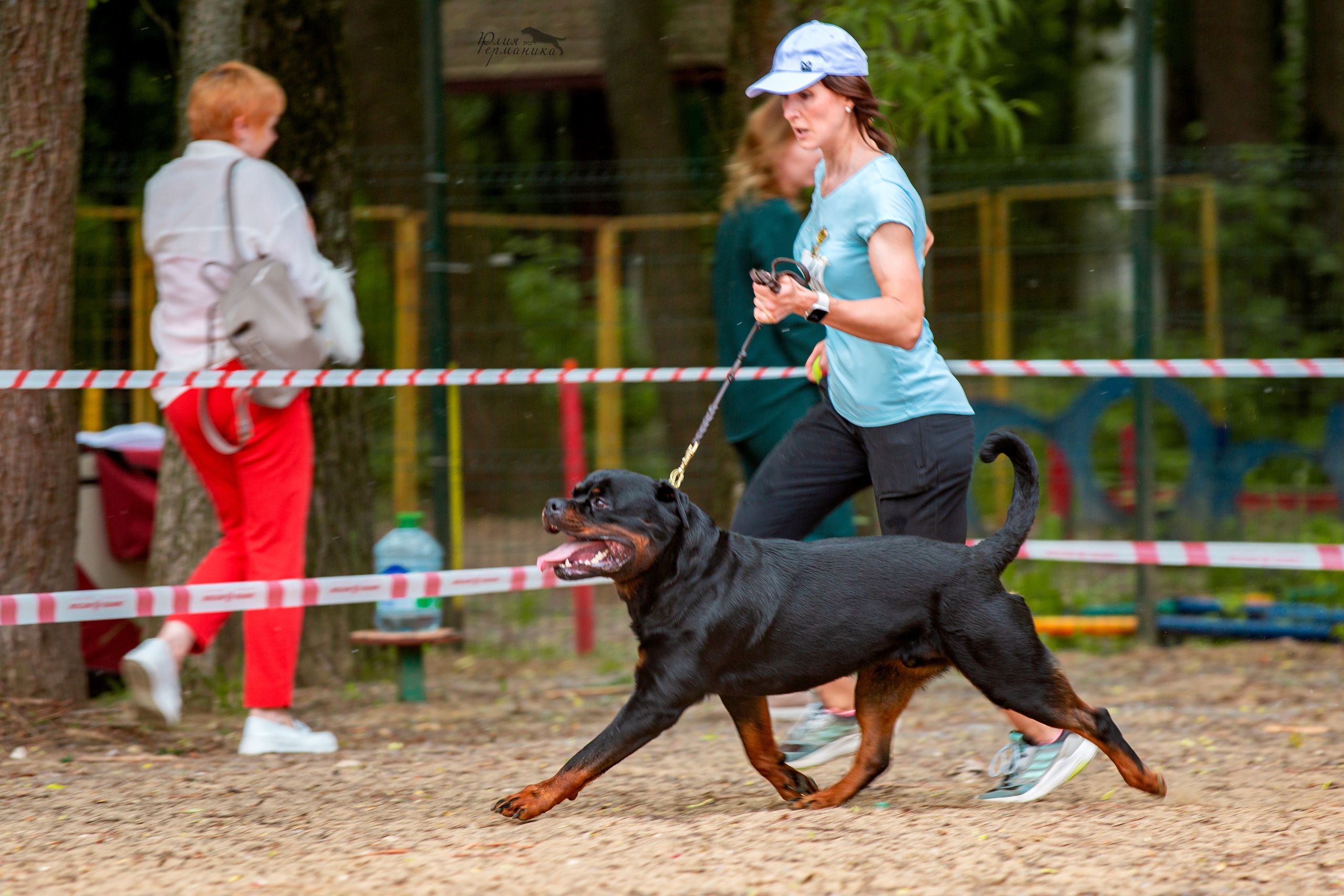 Смоленск 12.06,   Ховрино 13.06,    Питер 18.06 2022. Фотограф-анималист Юлия Германика