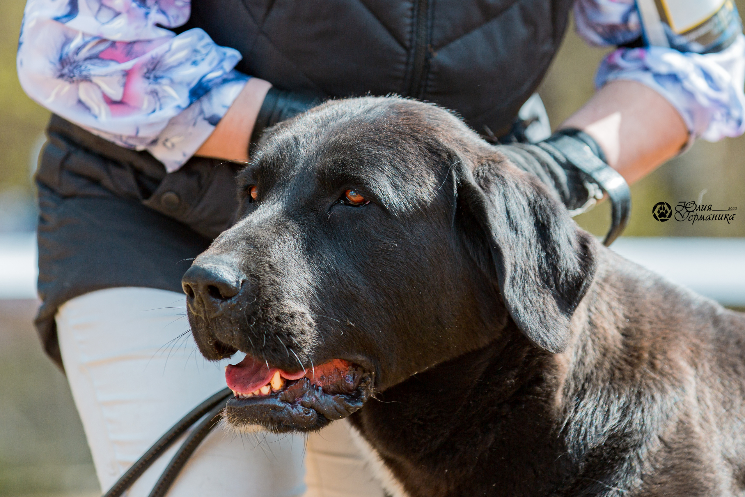 Сокольники 1 мая 2022. Фотограф-анималист Юлия Германика