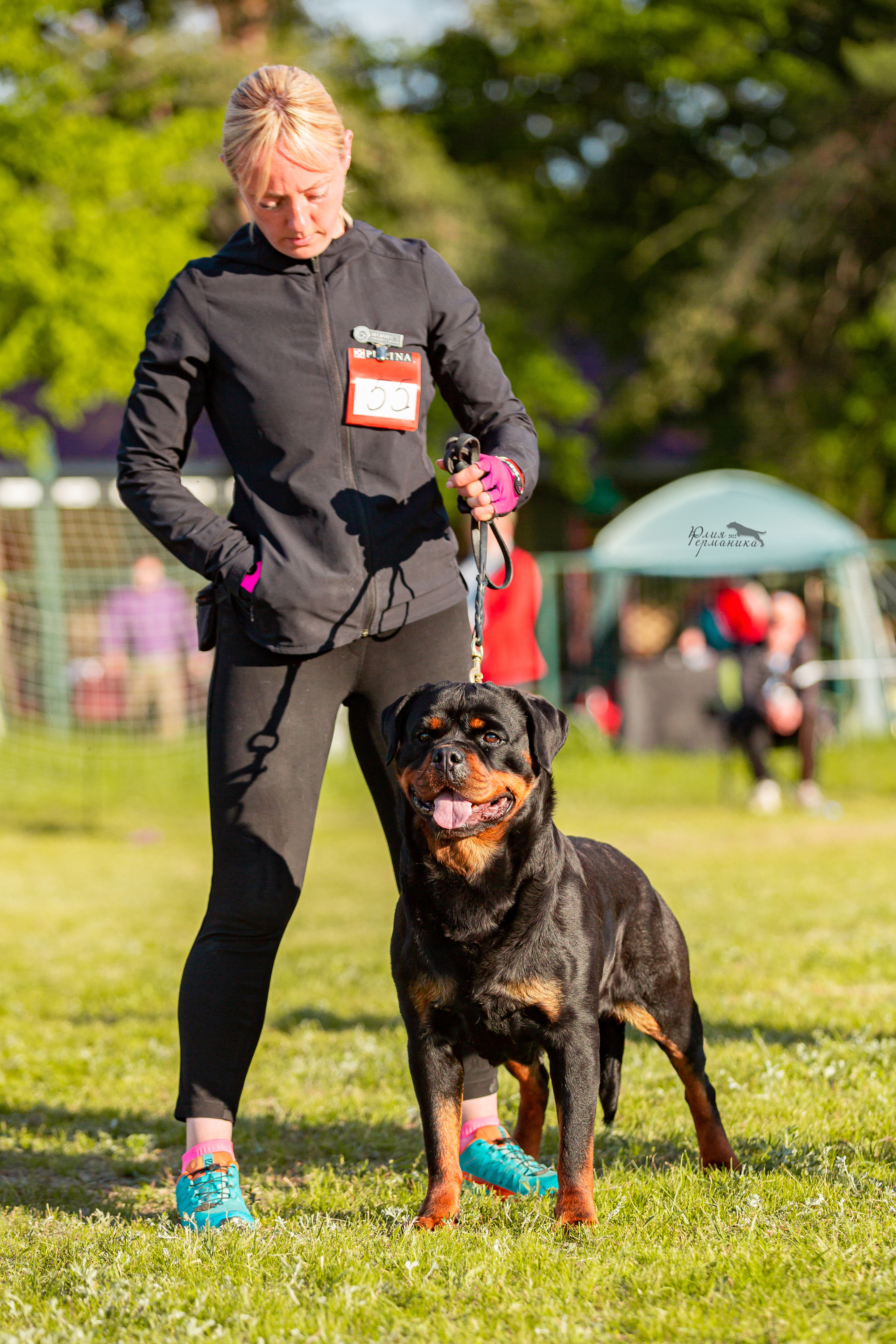 Воронеж моно ротвейлеров 28-29 мая 2022. Фотограф-анималист Юлия Германика