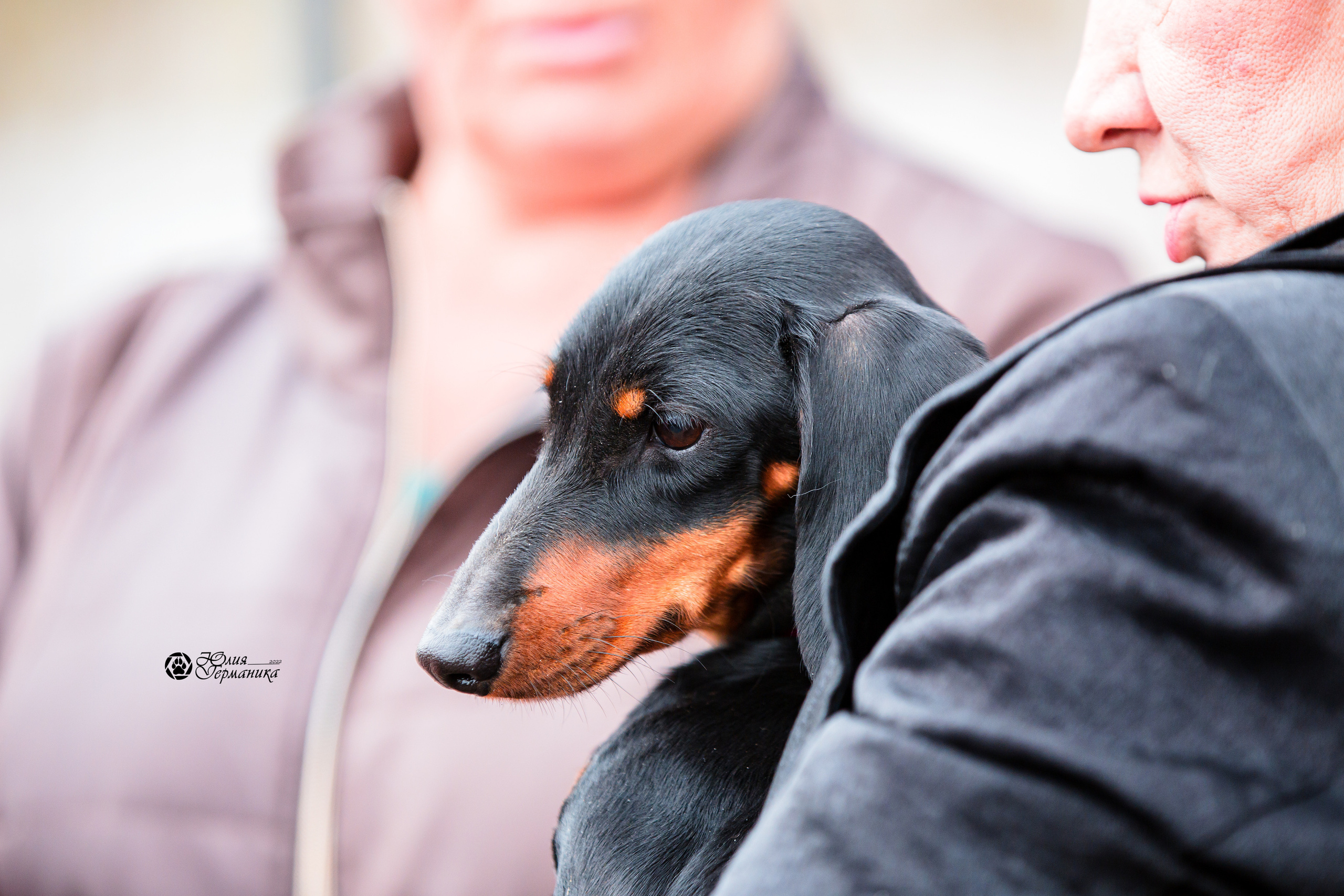 Александров 2хСАС 8 мая 2022. Фотограф-анималист Юлия Германика