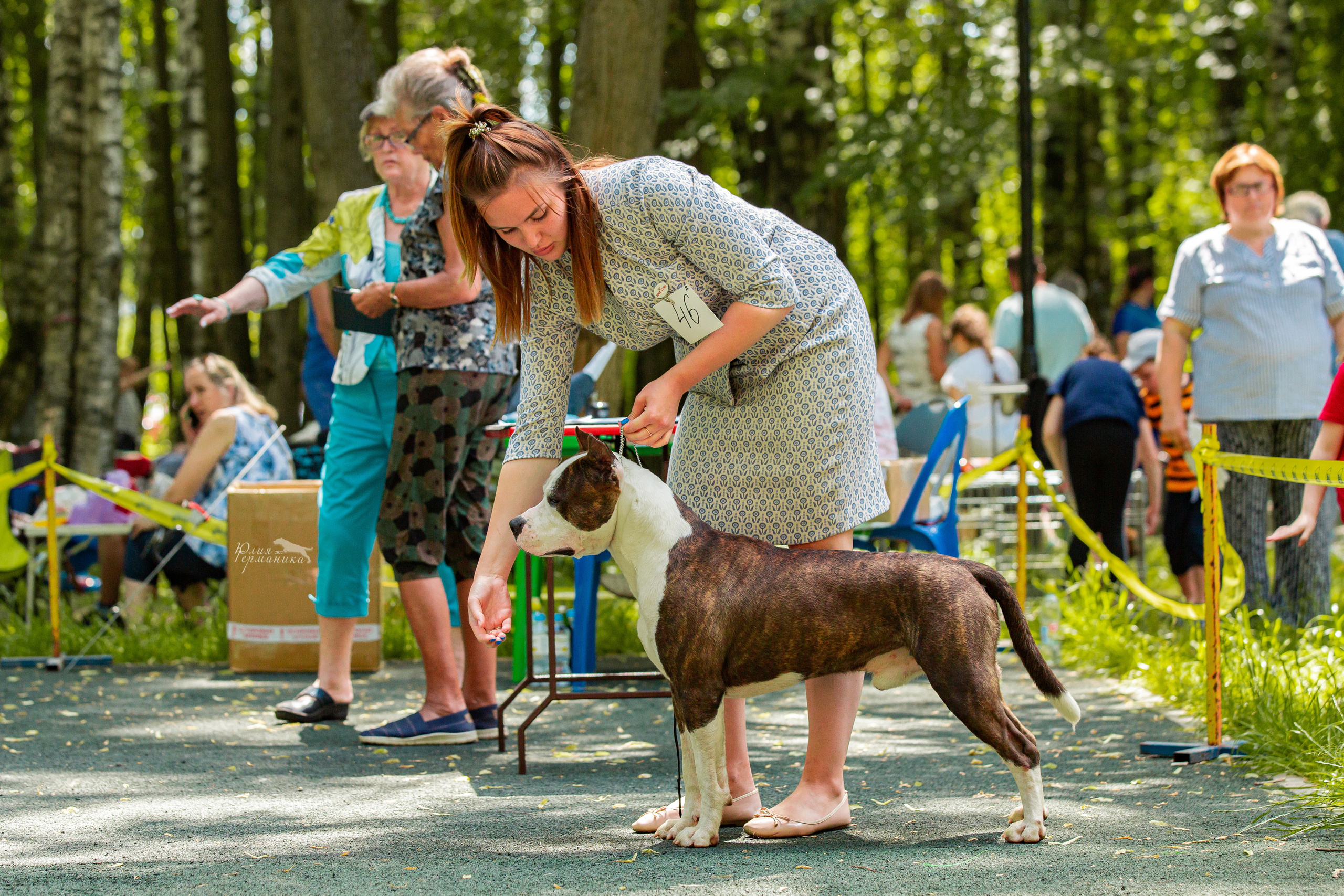 Сергиев Посад 2хСАС 25.06.2022. Фотограф-анималист Юлия Германика