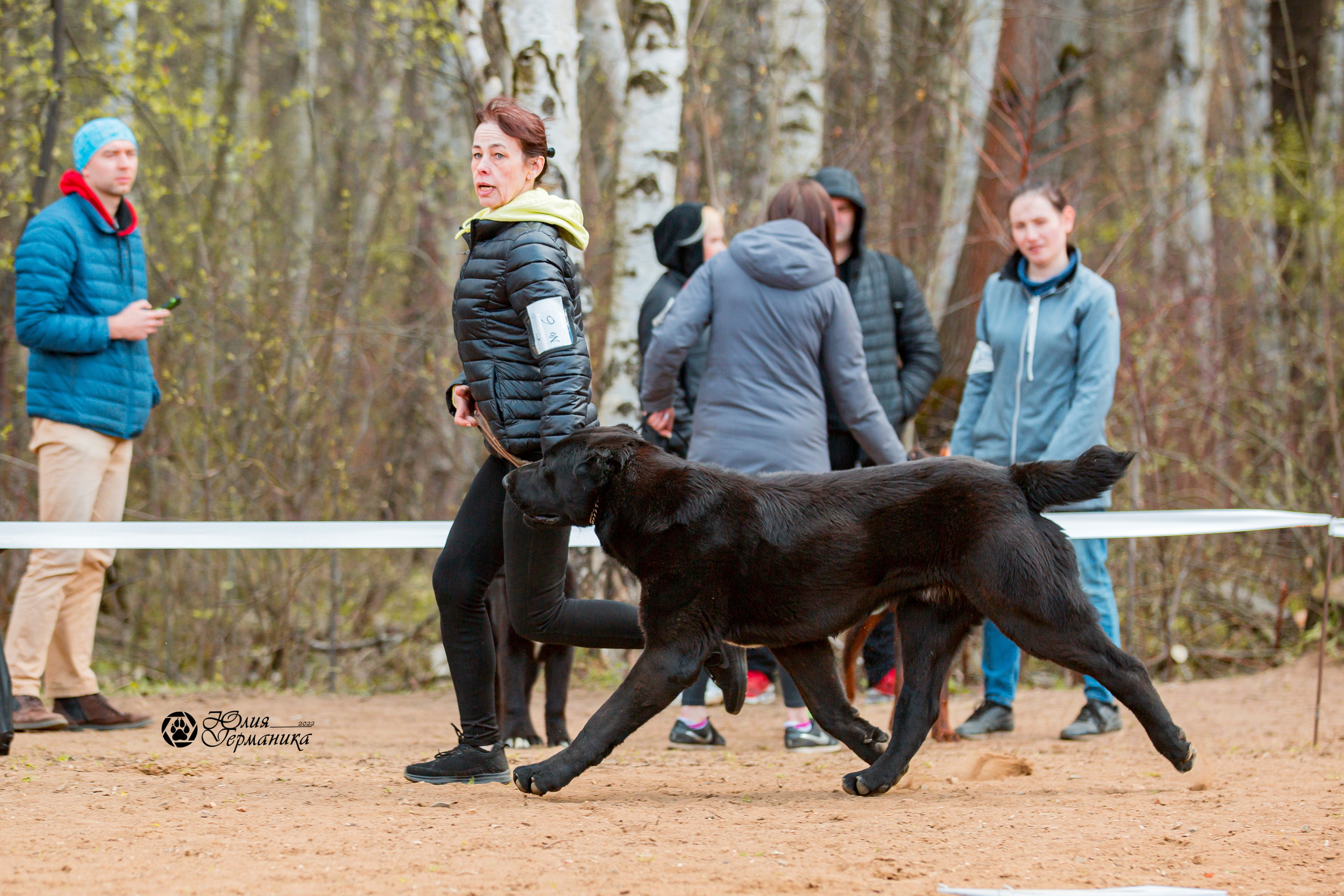 Сокольники 1 мая 2022. Фотограф-анималист Юлия Германика