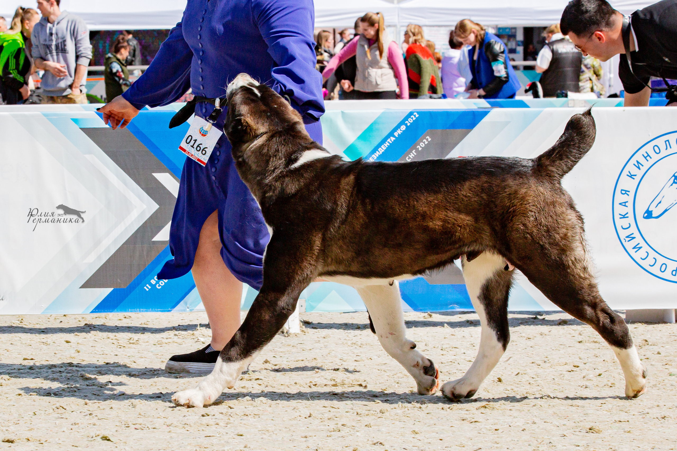 Евразия 21-22 мая 2022. Фотограф-анималист Юлия Германика