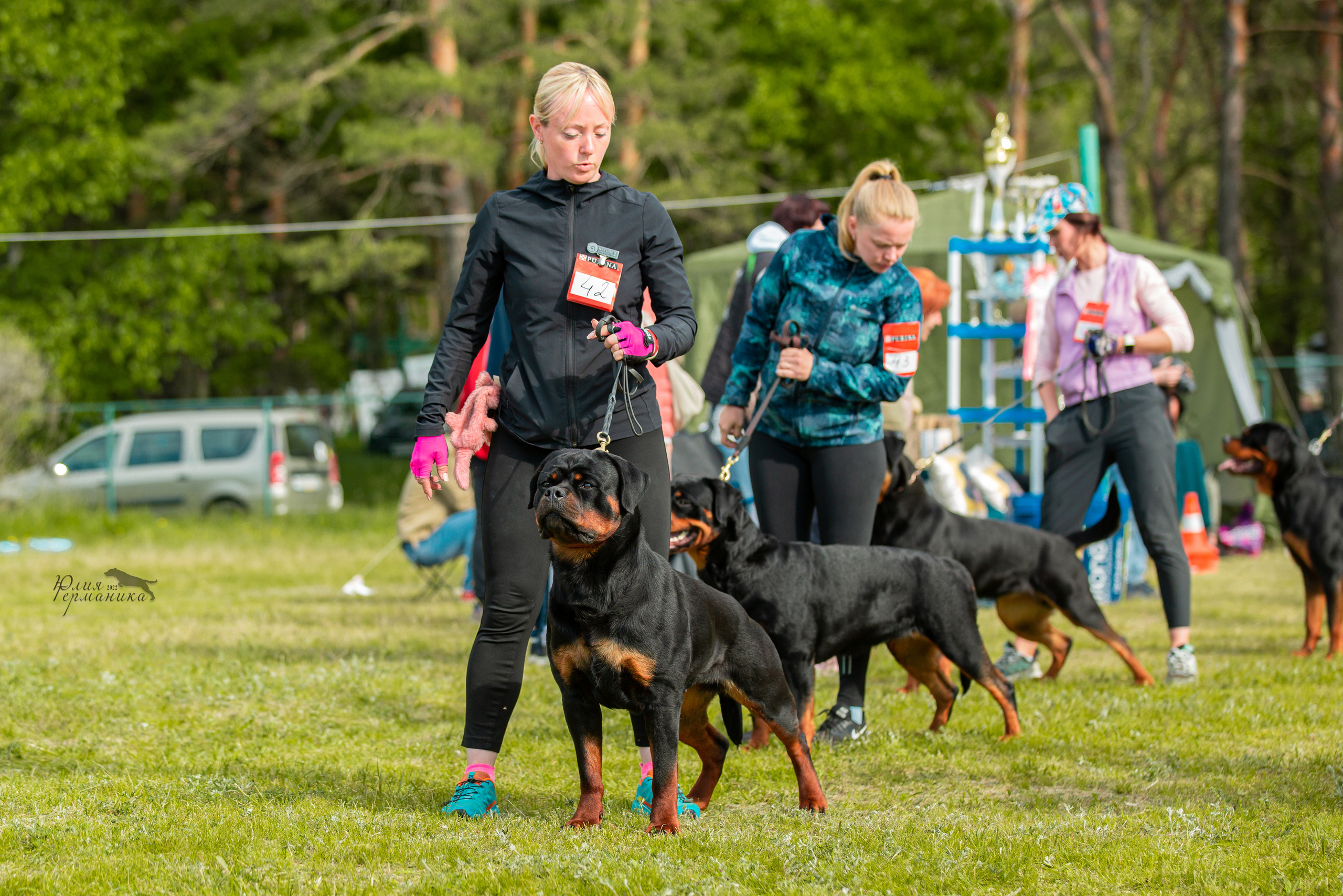 Воронеж моно ротвейлеров 28-29 мая 2022. Фотограф-анималист Юлия Германика