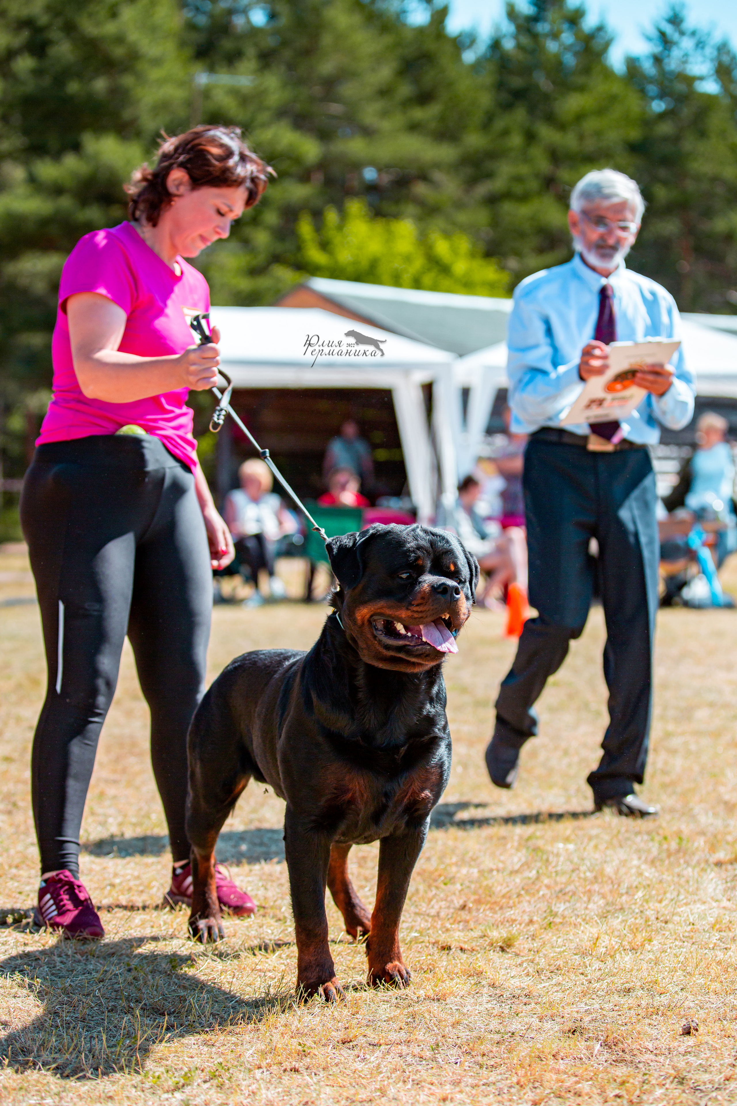 Тверь моно ротвейлеров 2-3.07.2022. Фотограф-анималист Юлия Германика