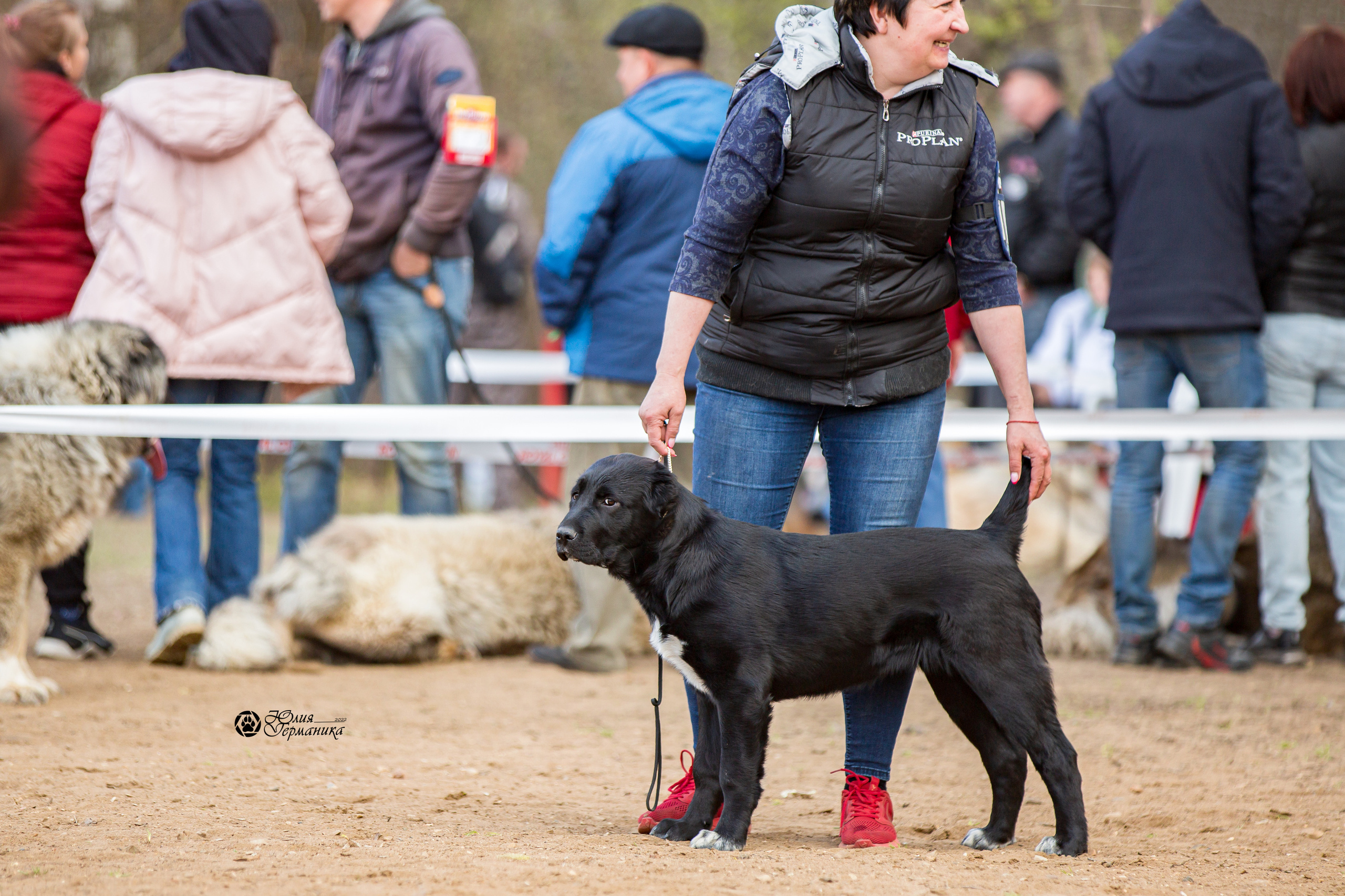 Сокольники 1 мая 2022. Фотограф-анималист Юлия Германика