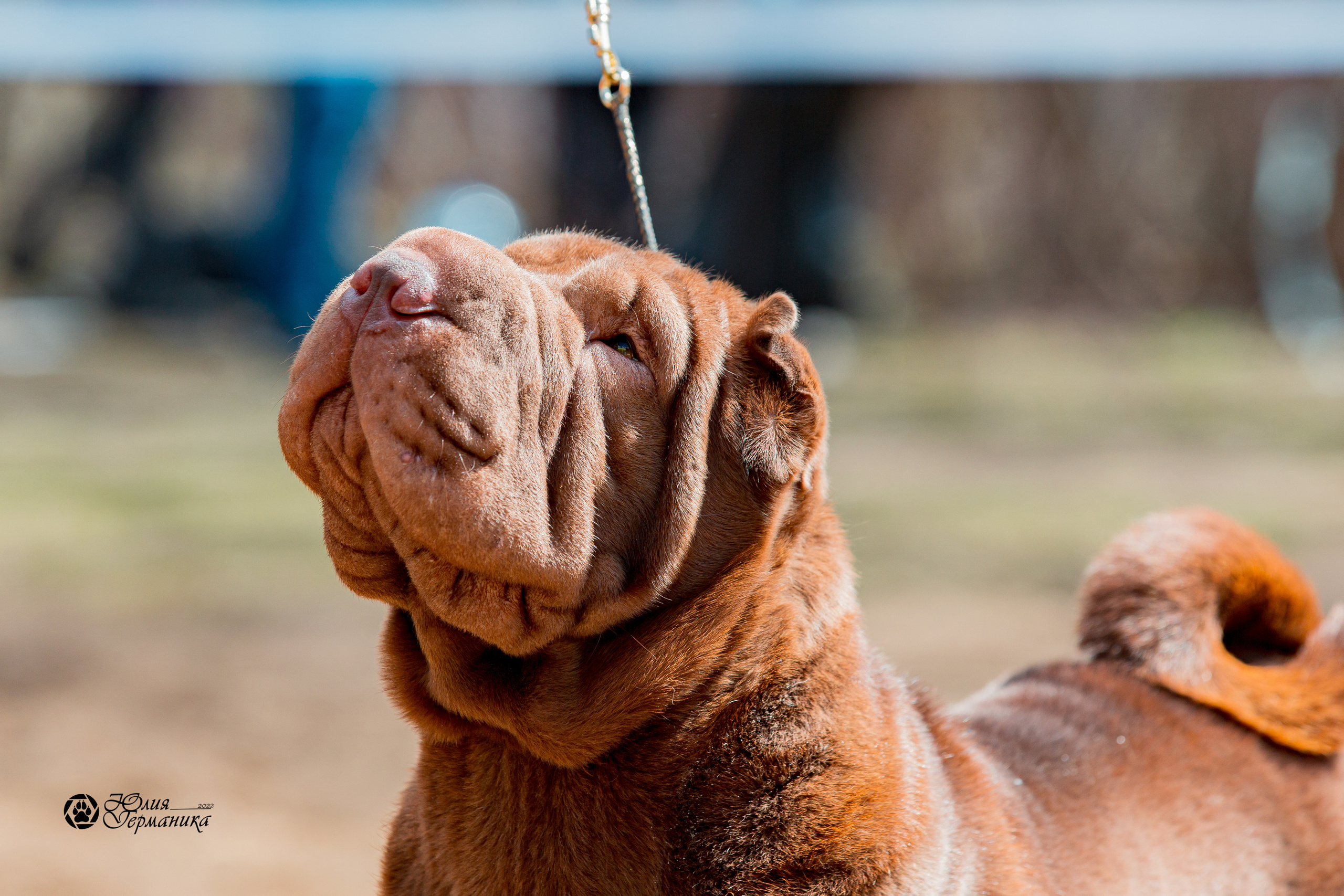Сокольники 1 мая 2022. Фотограф-анималист Юлия Германика