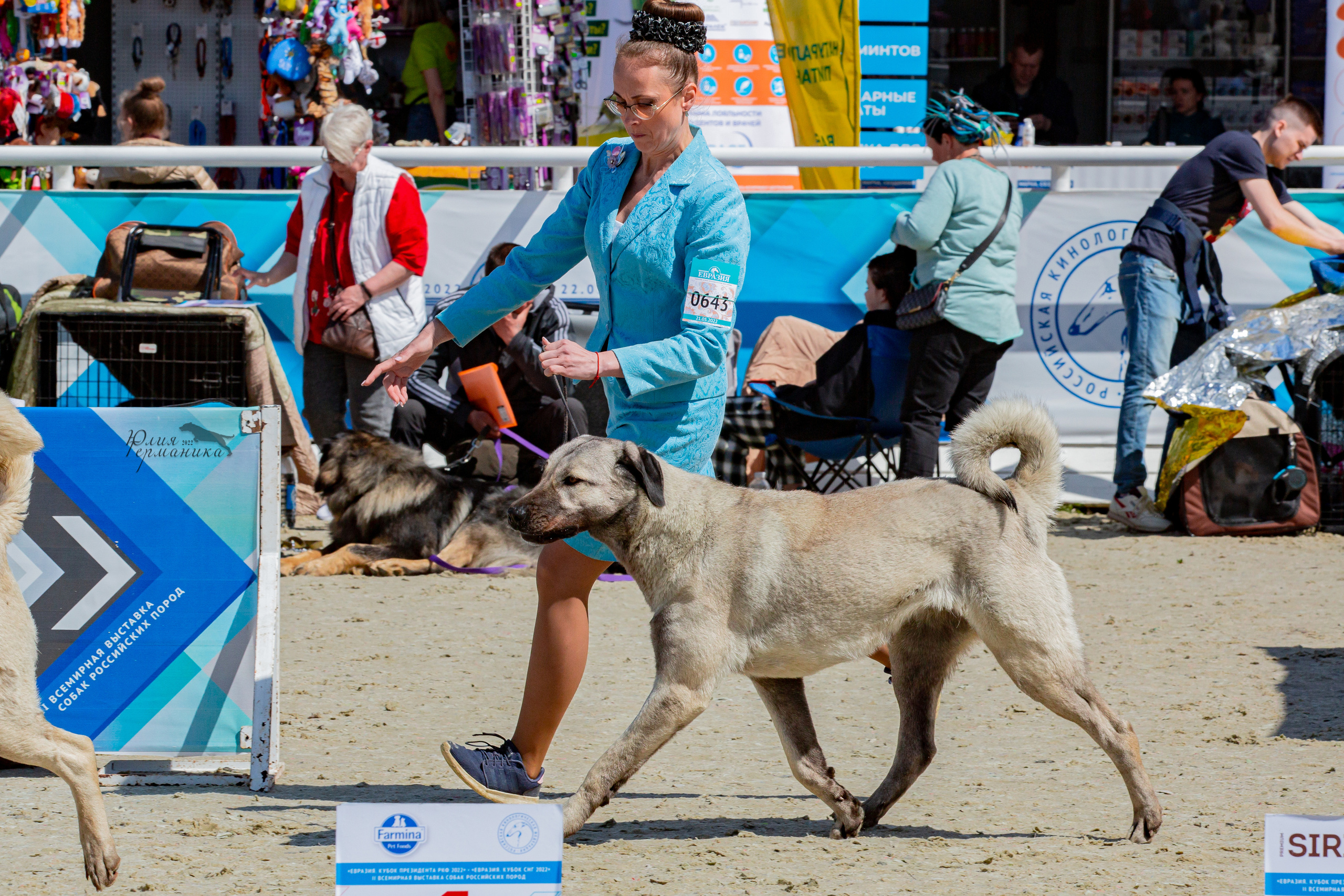 Евразия 21-22 мая 2022. Фотограф-анималист Юлия Германика