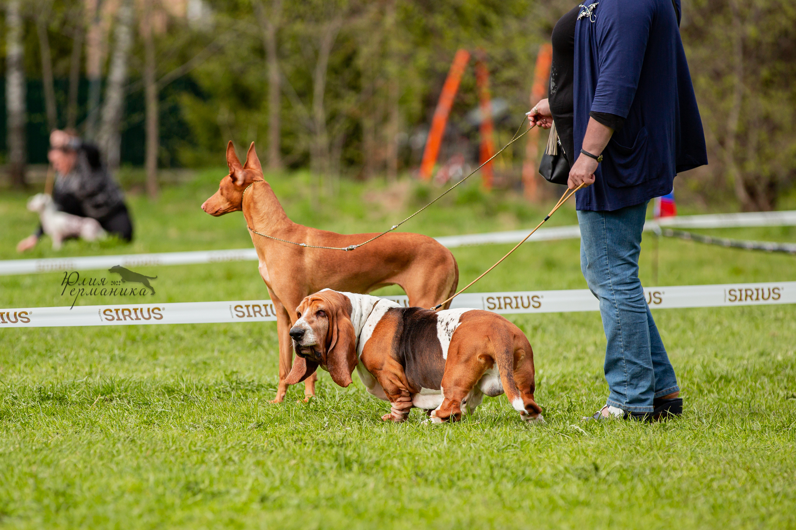 Пушкино 2хЧРКФ 14 мая 2022. Фотограф-анималист Юлия Германика