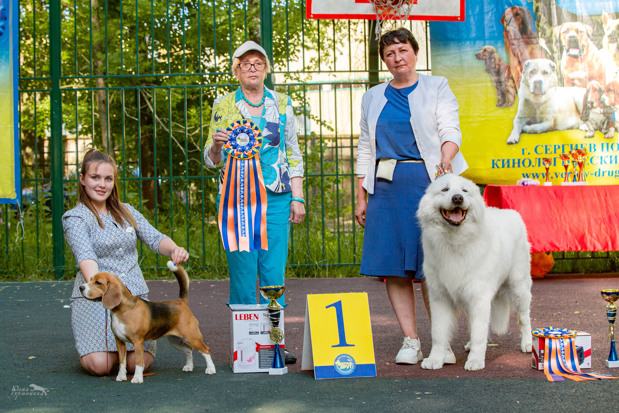 Сергиев Посад 2хСАС 25.06.2022. Фотограф-анималист Юлия Германика