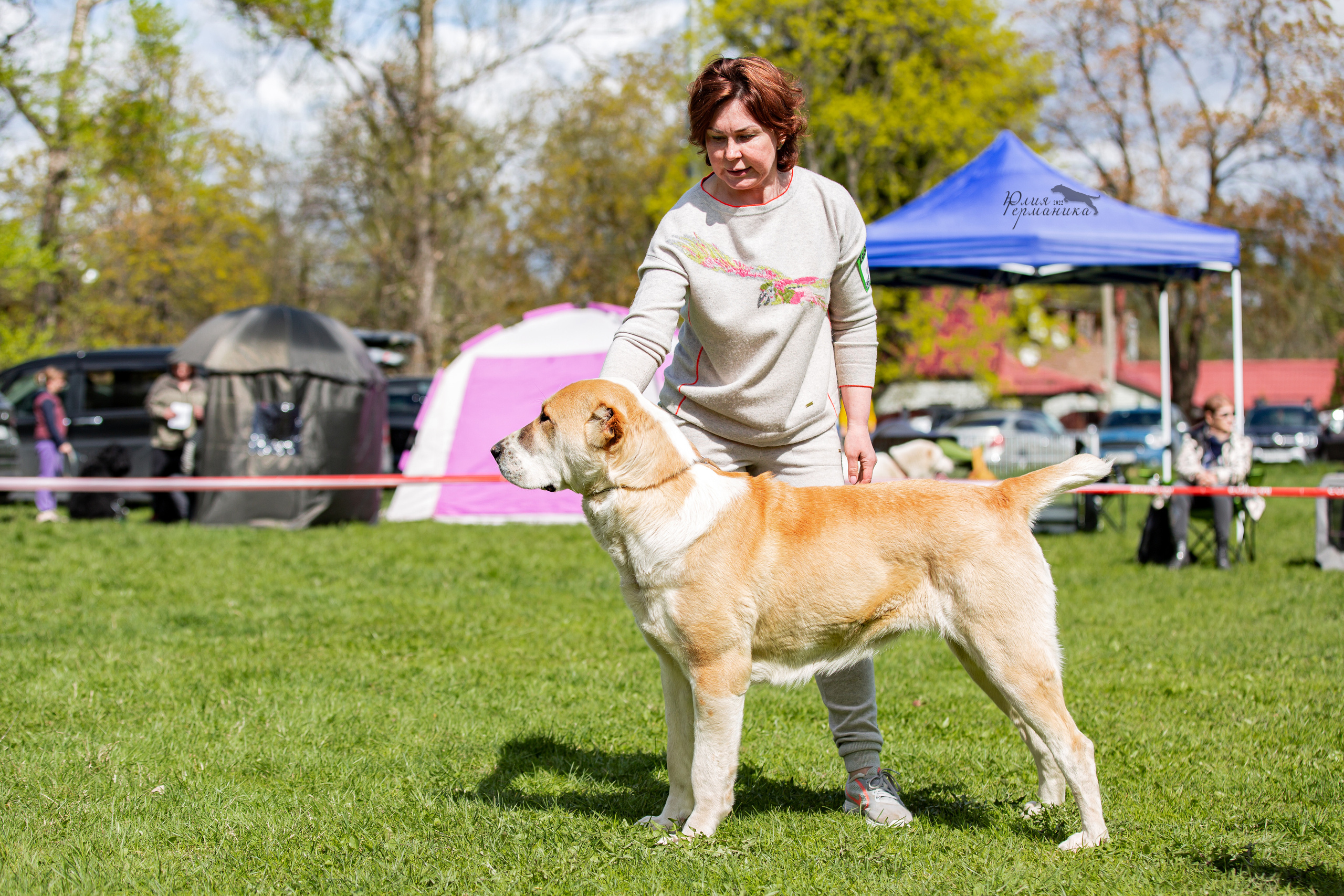 Пушкино 2хЧРКФ 14 мая 2022. Фотограф-анималист Юлия Германика