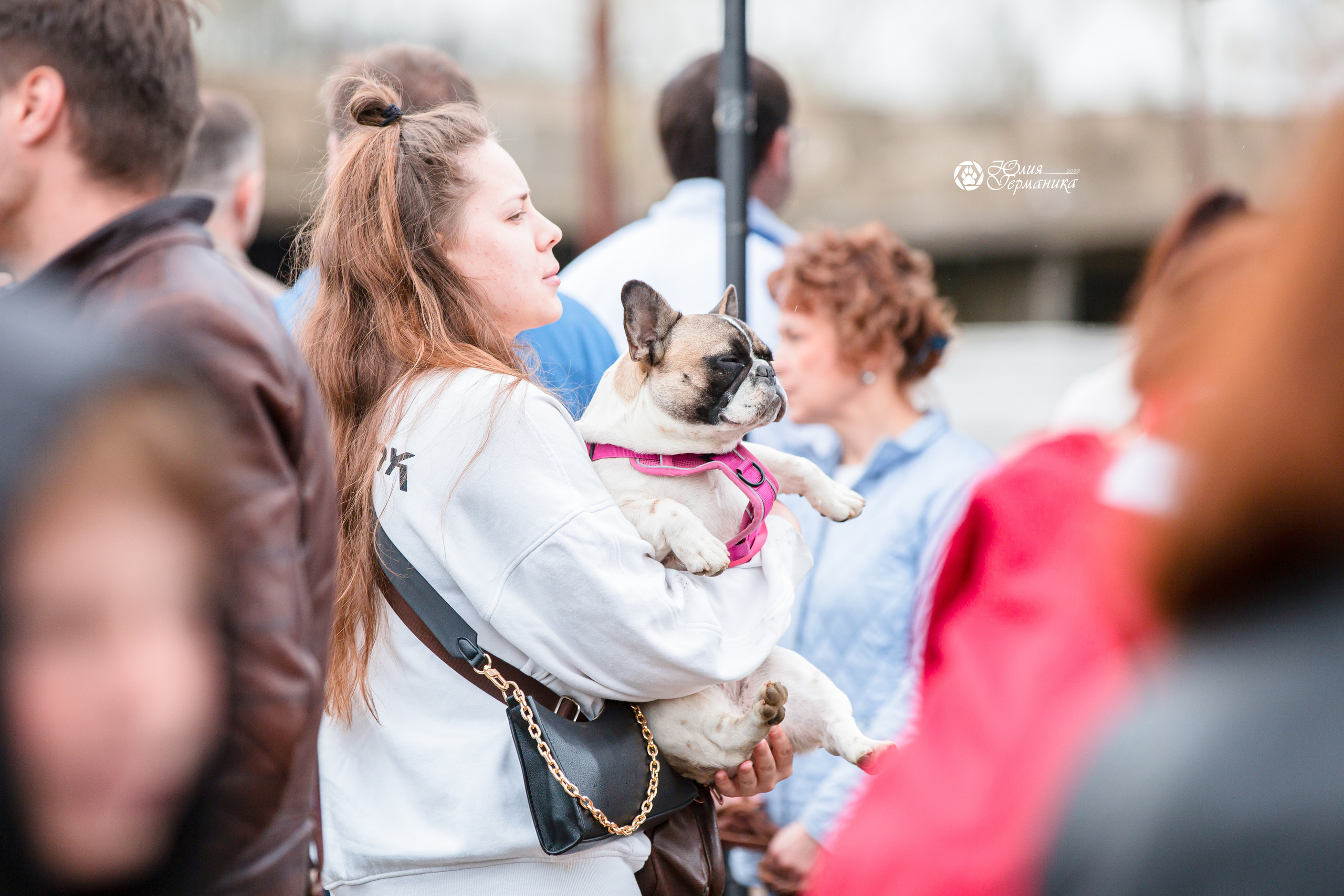 Александров 2хСАС 8 мая 2022. Фотограф-анималист Юлия Германика