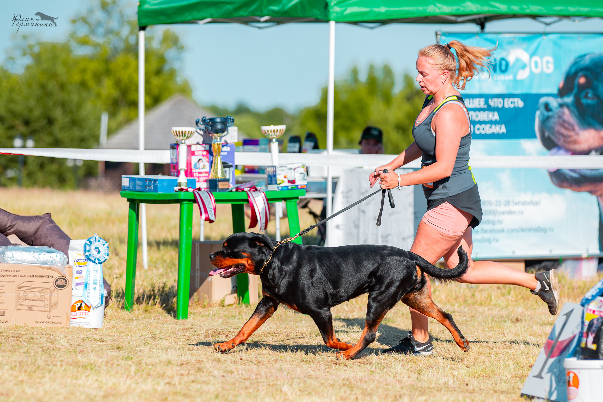 Тверь моно ротвейлеров 2-3.07.2022. Фотограф-анималист Юлия Германика