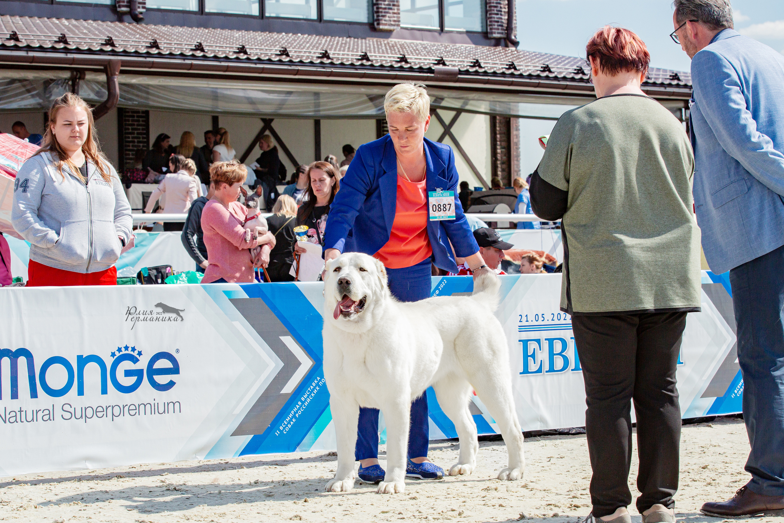 Евразия 21-22 мая 2022. Фотограф-анималист Юлия Германика