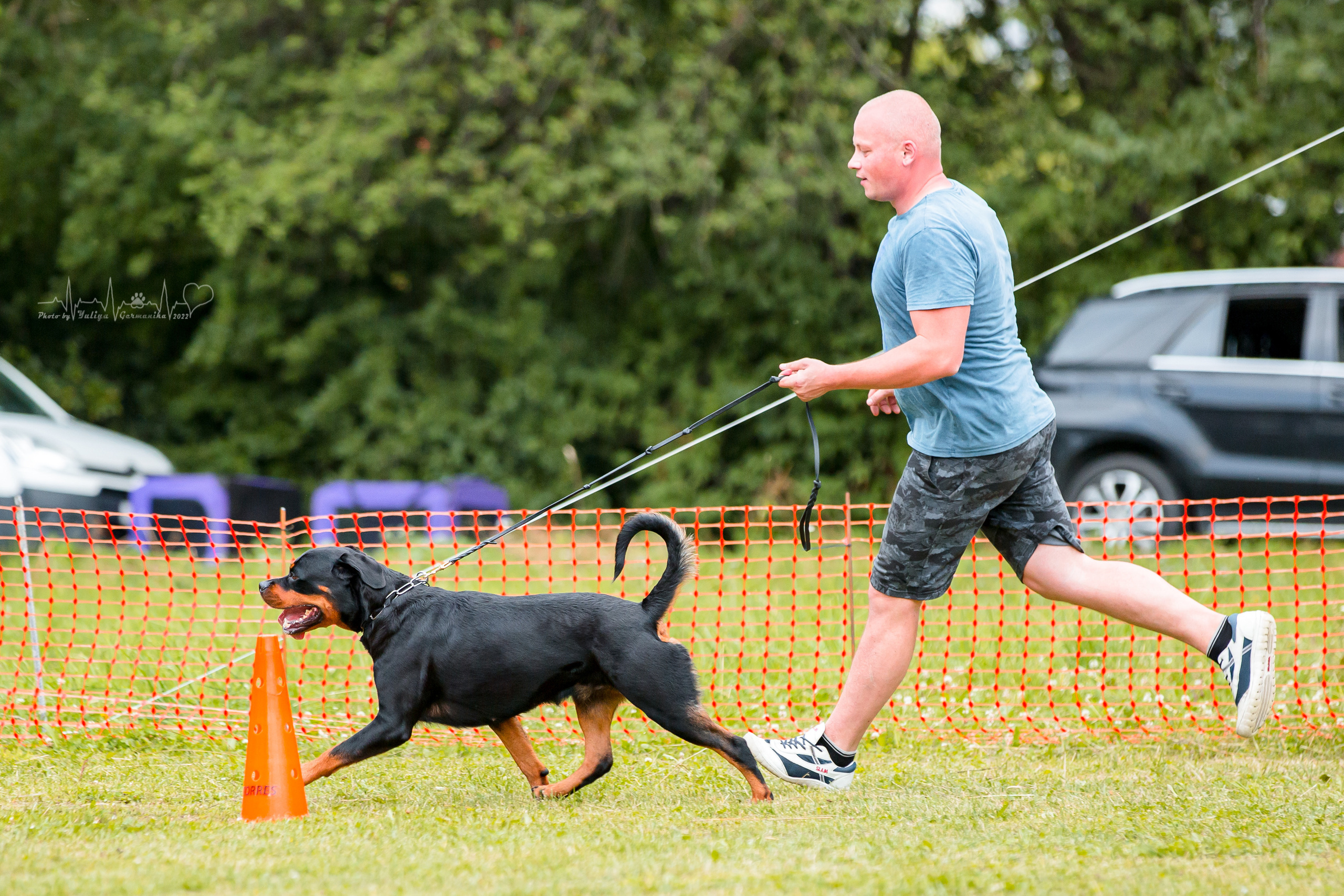 Санкт-Петербург моно ротвейлеров 23.07.2022. Фотограф-анималист Юлия Германика