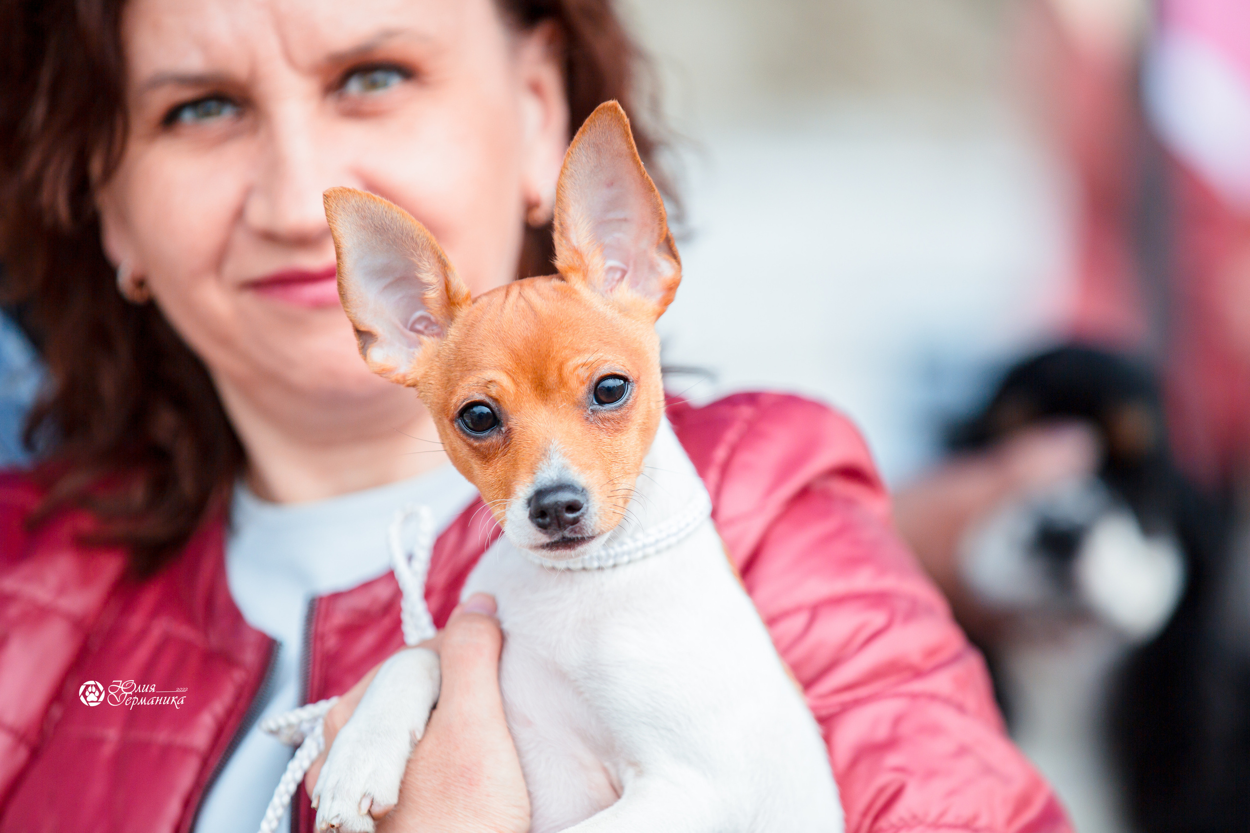 Александров 2хСАС 8 мая 2022. Фотограф-анималист Юлия Германика