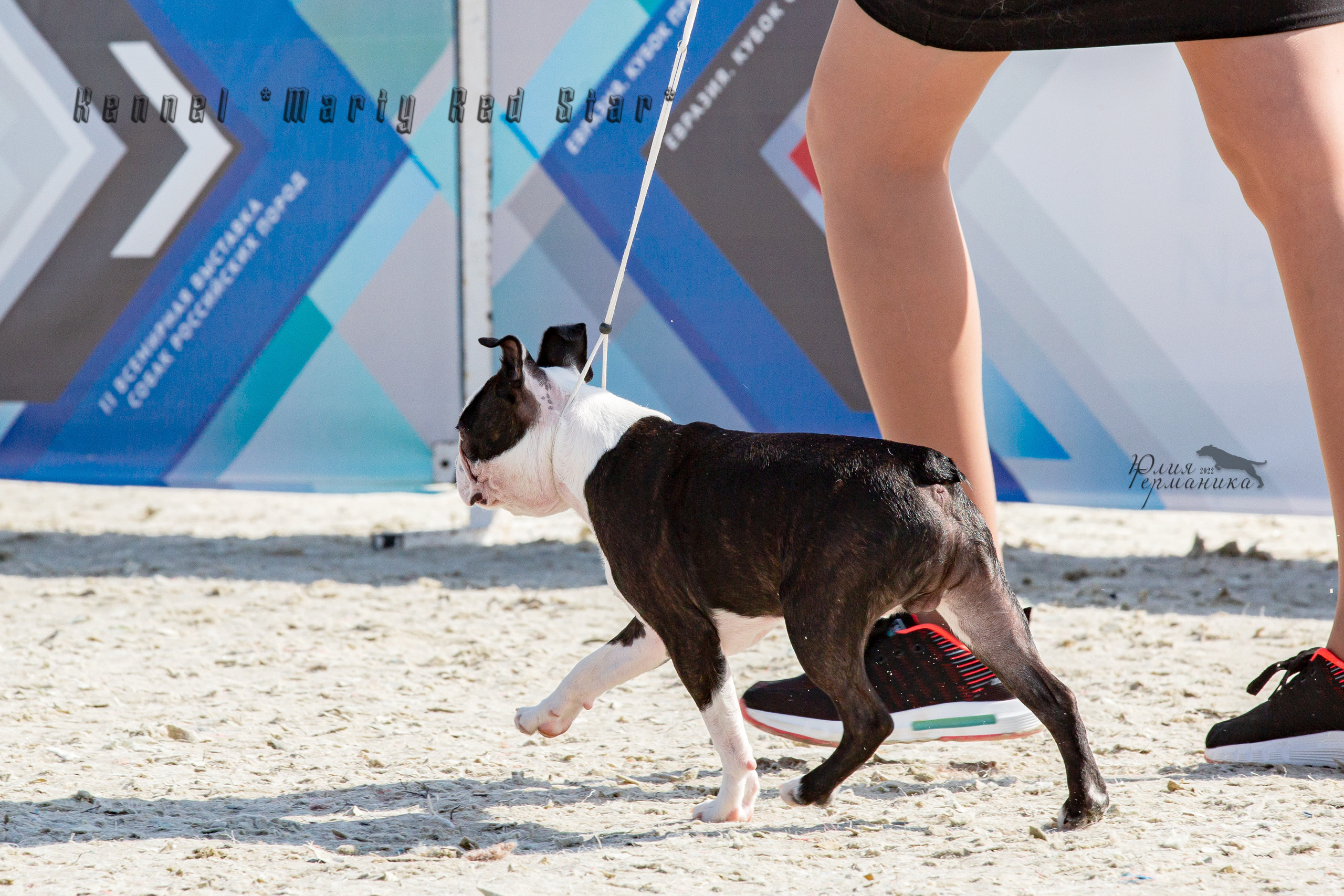 Евразия 21-22 мая 2022. Фотограф-анималист Юлия Германика