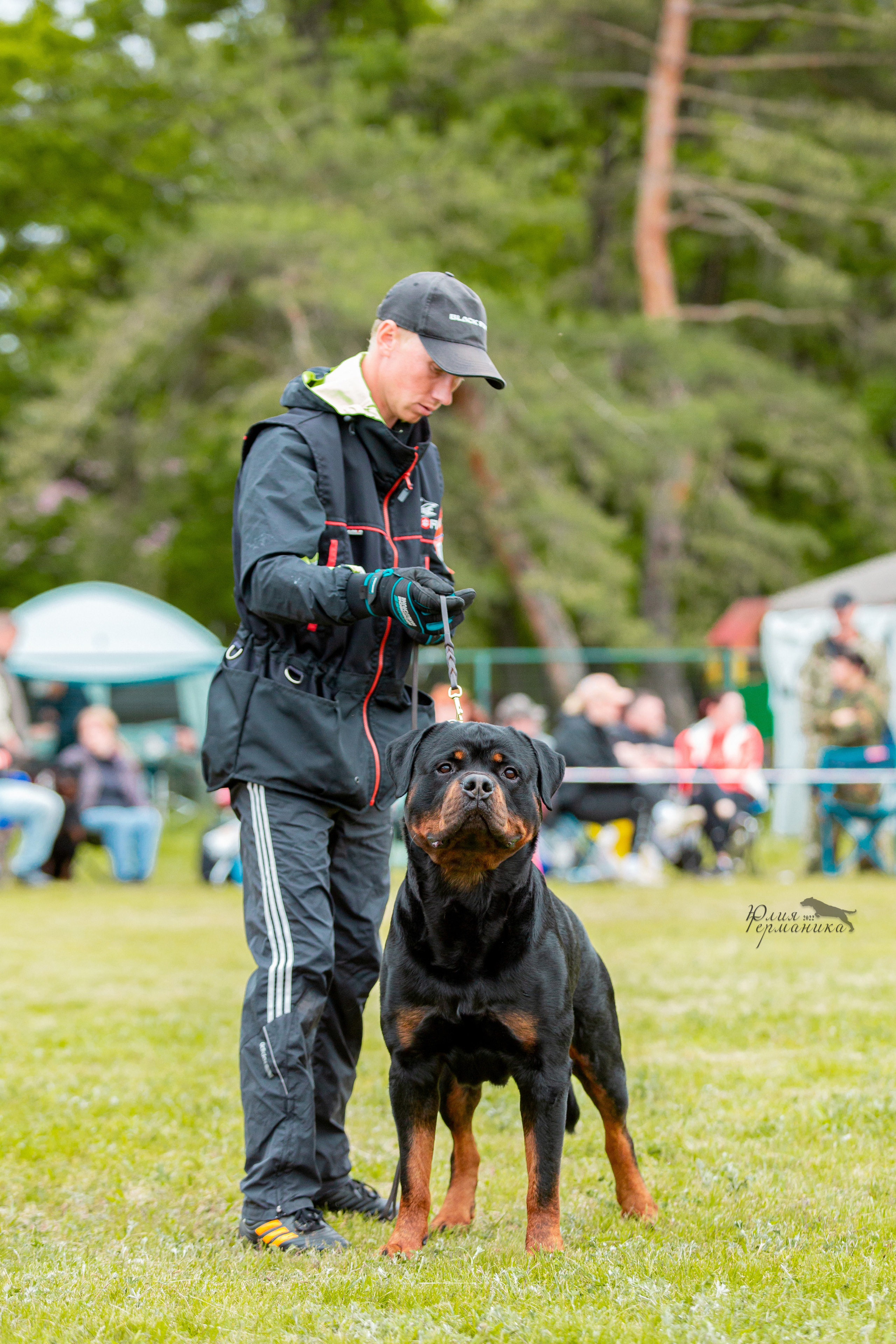 Воронеж моно ротвейлеров 28-29 мая 2022. Фотограф-анималист Юлия Германика