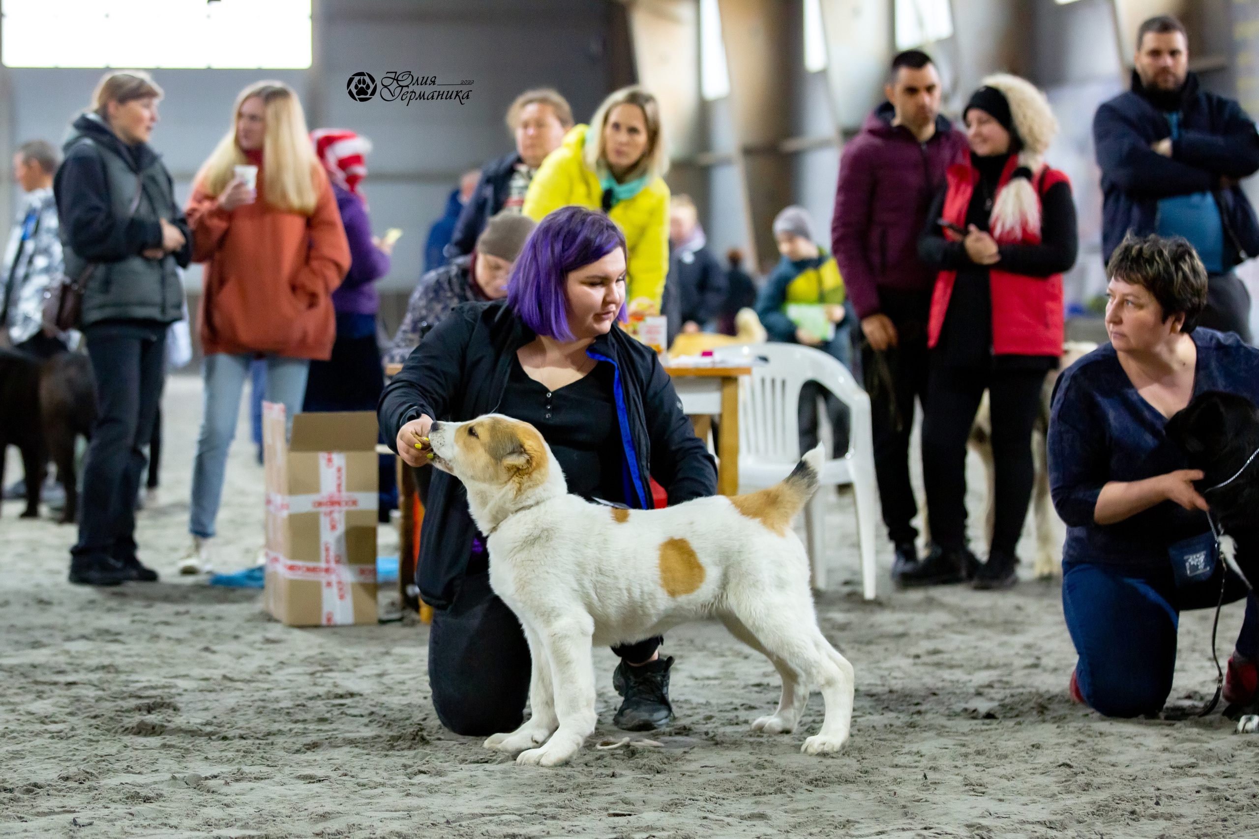 Националка САО+КЧК 24 апреля 2022. Фотограф-анималист Юлия Германика