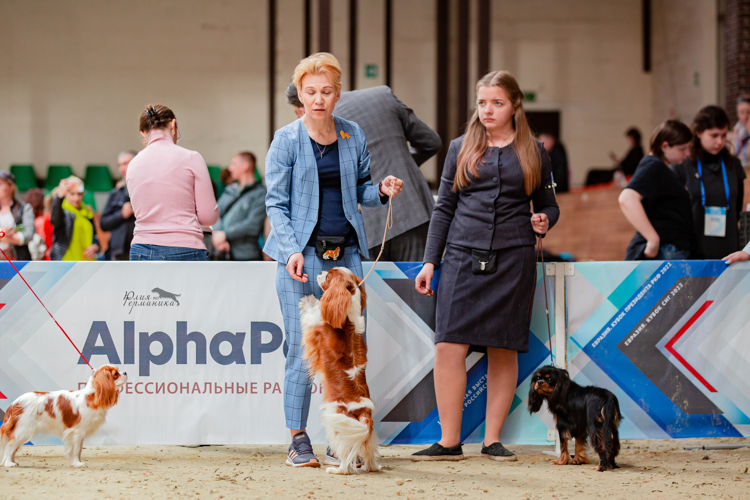 Евразия 21-22 мая 2022. Фотограф-анималист Юлия Германика