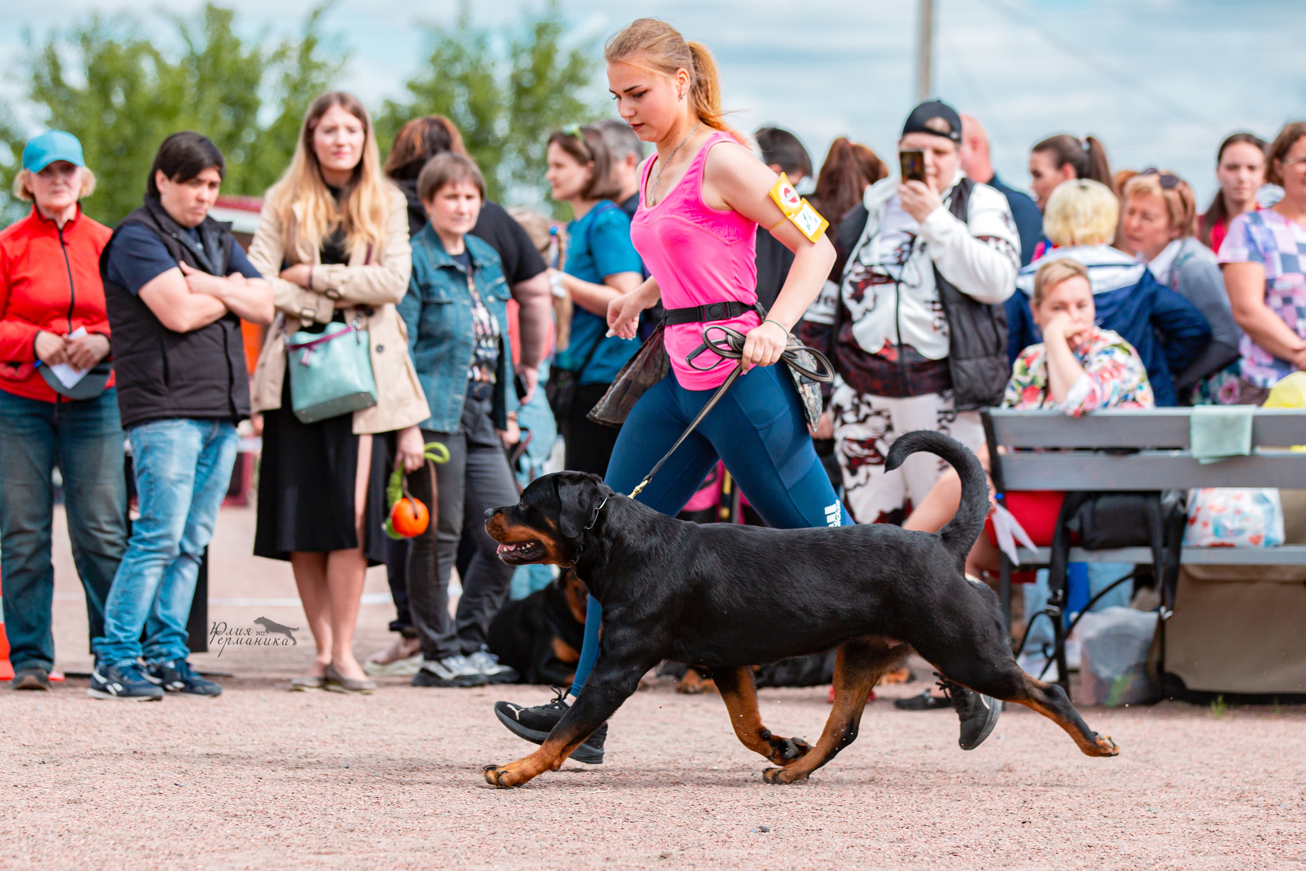 Смоленск 12.06,   Ховрино 13.06,    Питер 18.06 2022. Фотограф-анималист Юлия Германика
