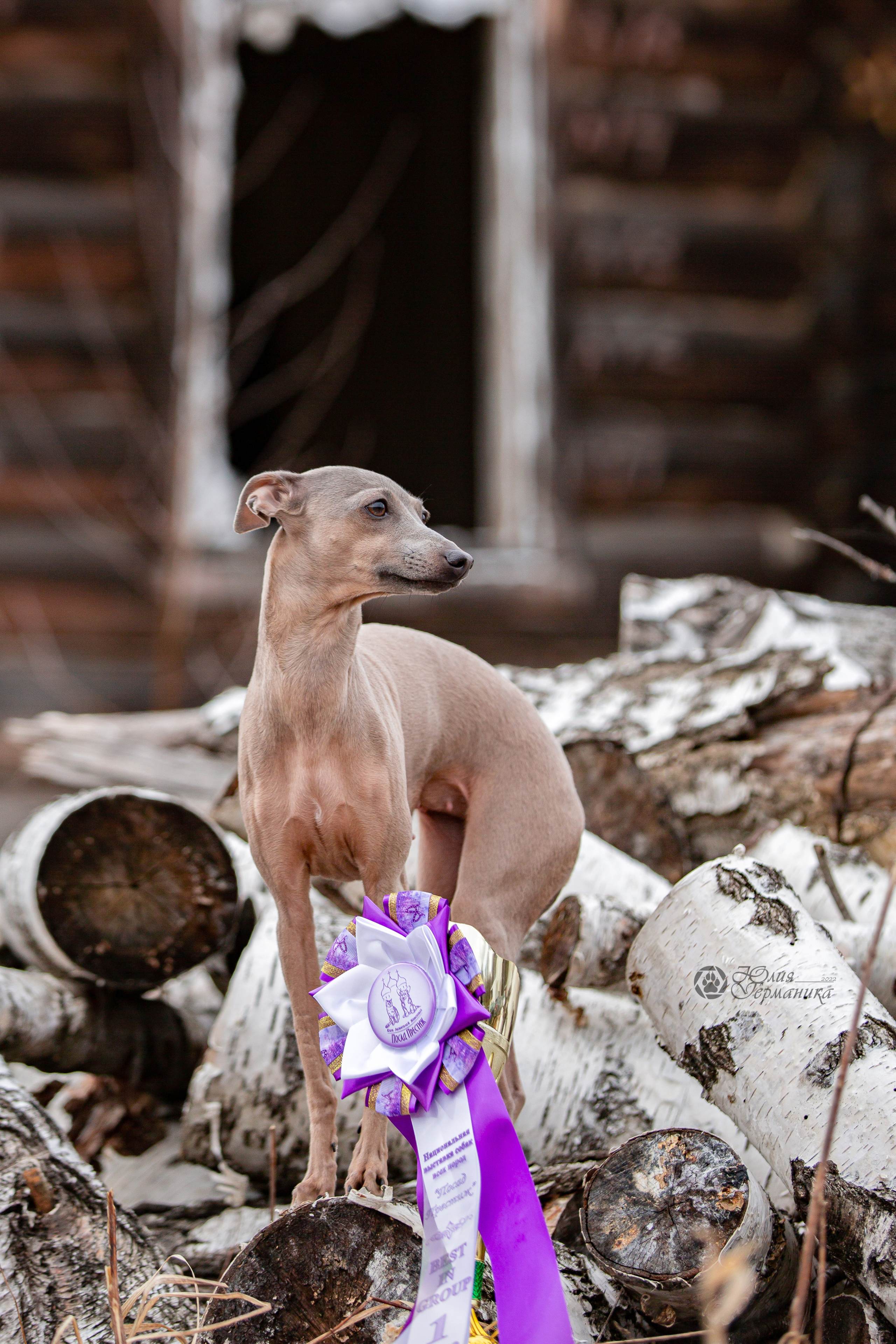 Сергиев Посад 23.04.2022. Фотограф-анималист Юлия Германика
